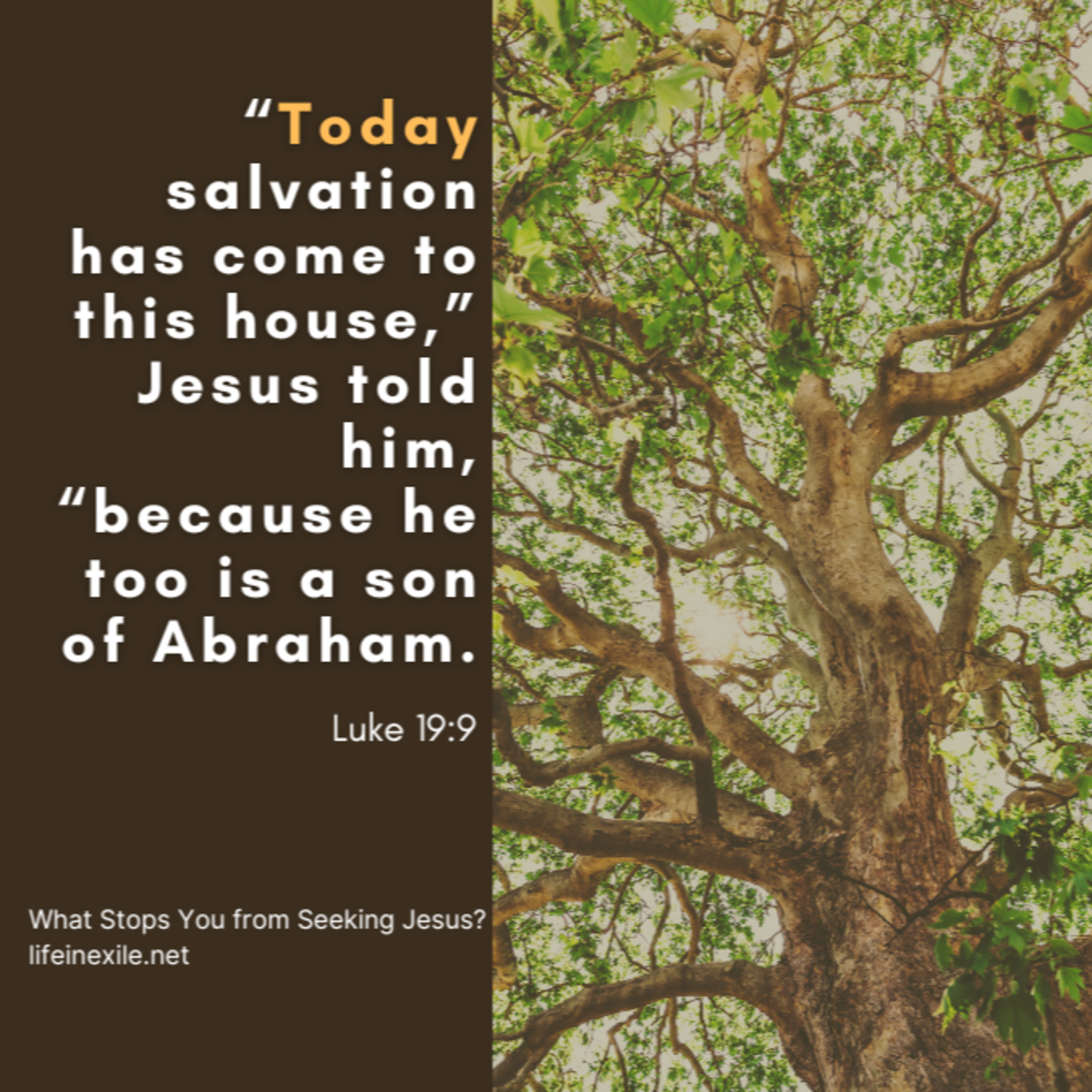 What Stops You from Seeking Jesus? episode artwork