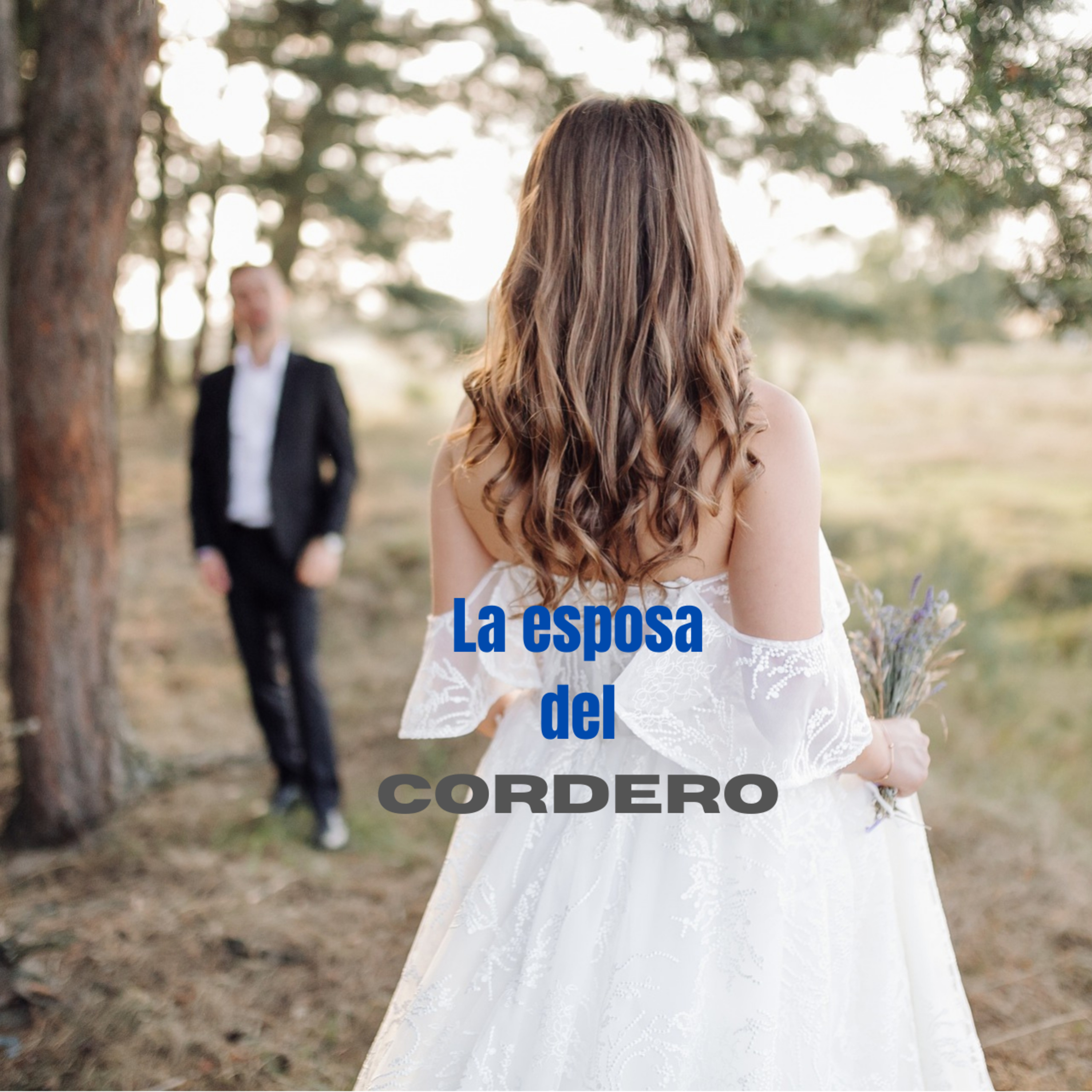 VIDEO - LA ESPOSA DEL CORDERO episode artwork