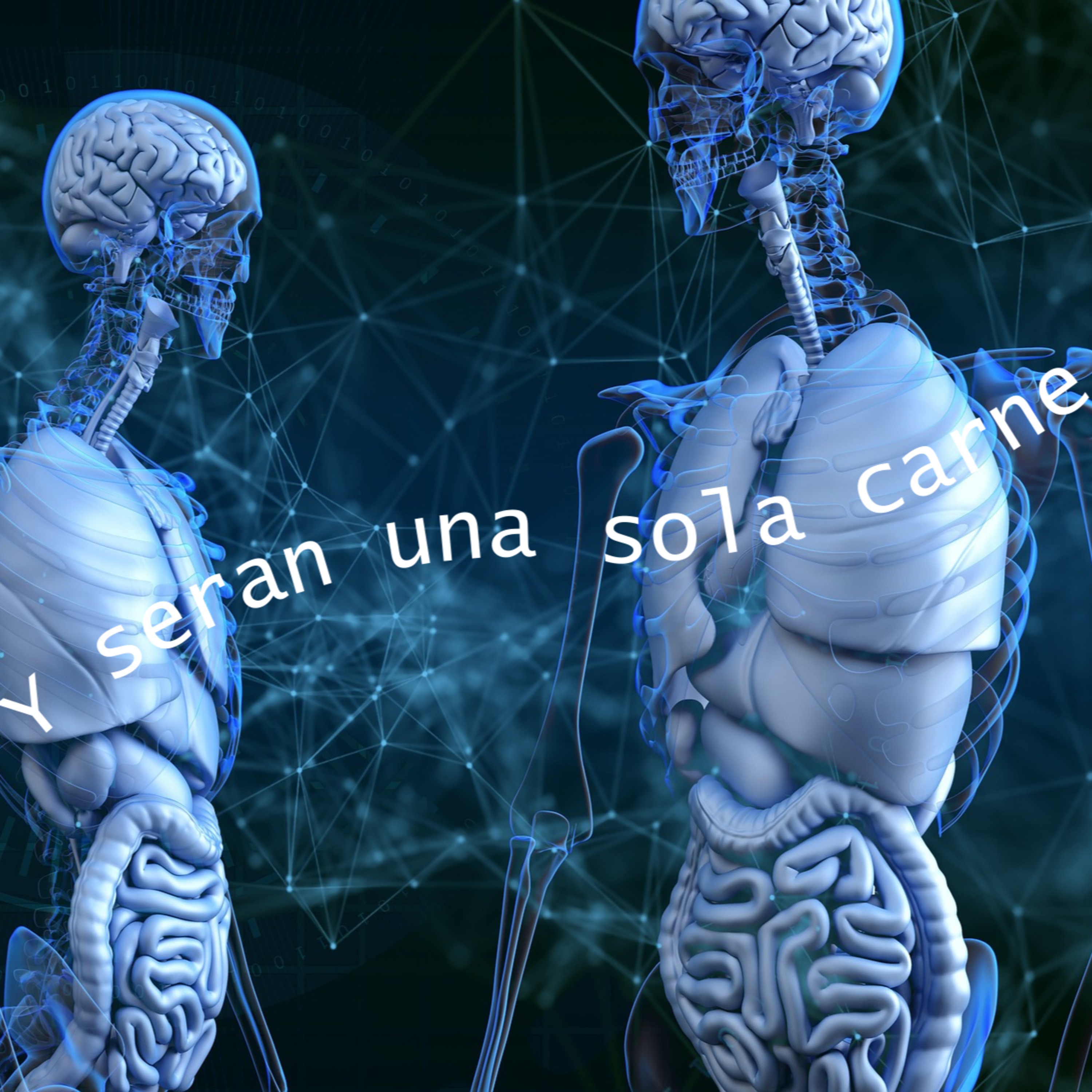 VIDEO - Y SERAN UNA SOLA CARNE - MUSICA D - CHOK HR - YOUNG PREACH - BIBLE BANG /MOG episode artwork