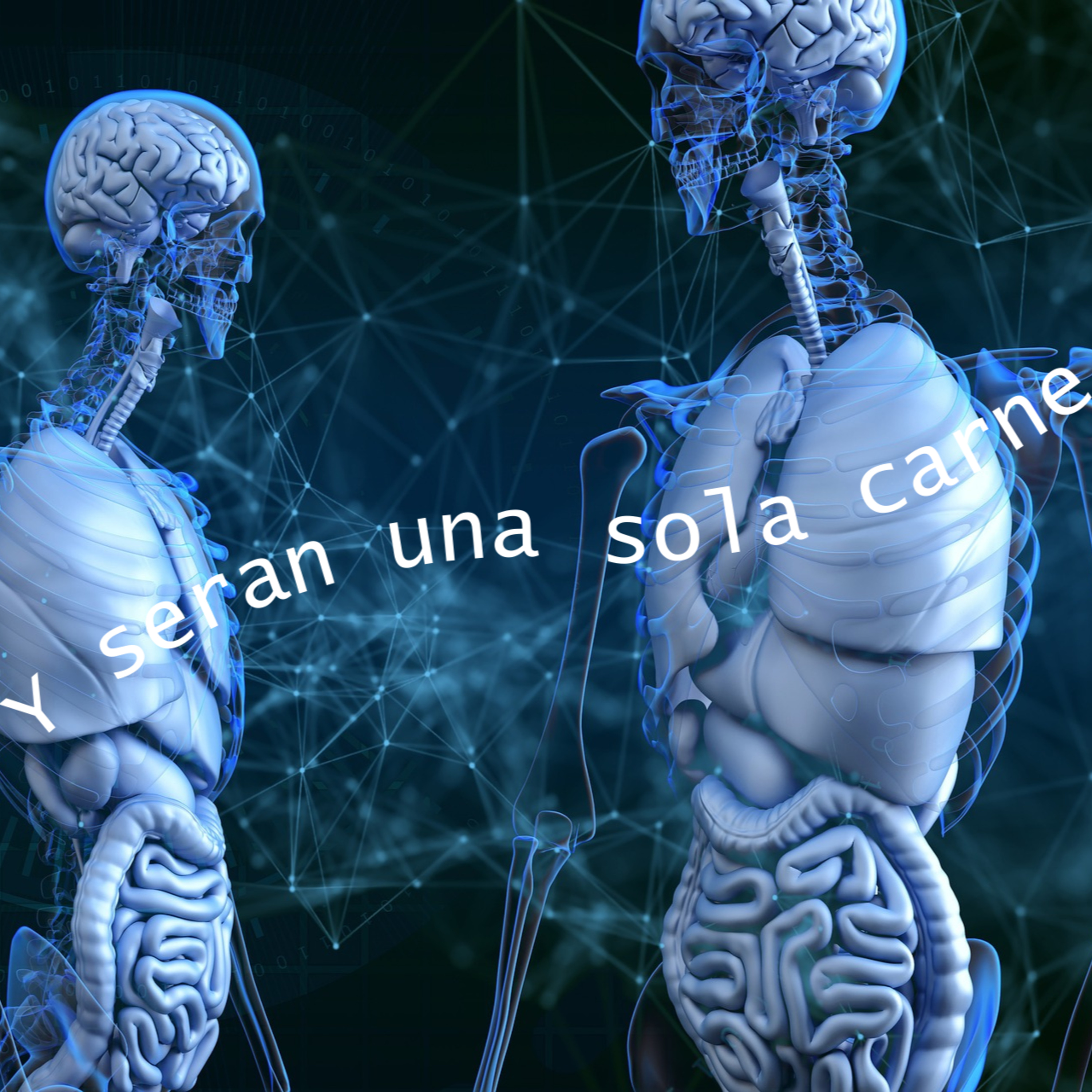 Y SERAN UNA SOLA CARNE - MUSICA D - CHOK HR - YOUNG PREACH - BIBLE BANG /MOG episode artwork