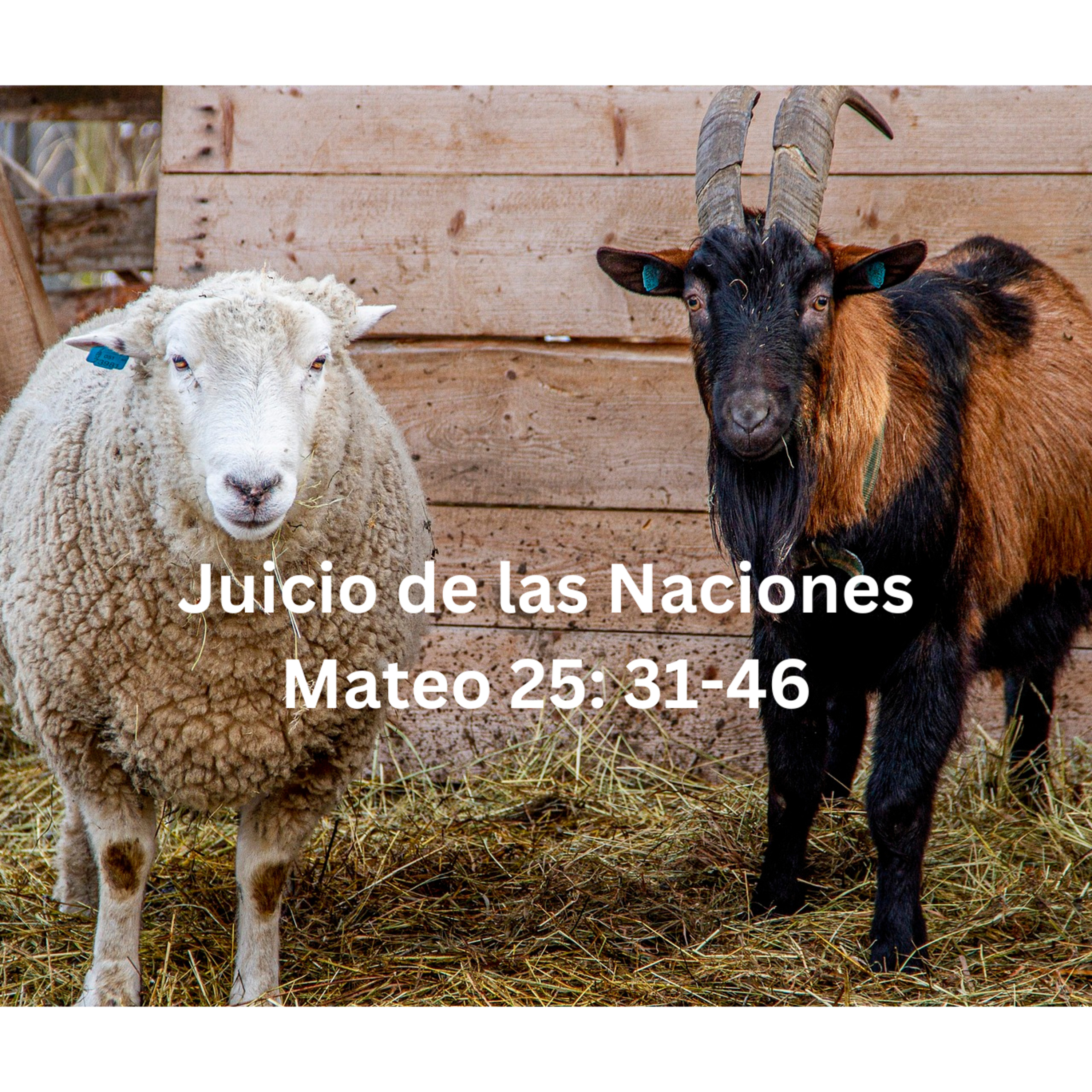 VIDEO - JUICIO DE LAS NACIONES - MATEO 25: 31-46 - MUSICA - SANTACRUZ ft YOHANNA - ERICK CRUZ "EL PACK" episode artwork