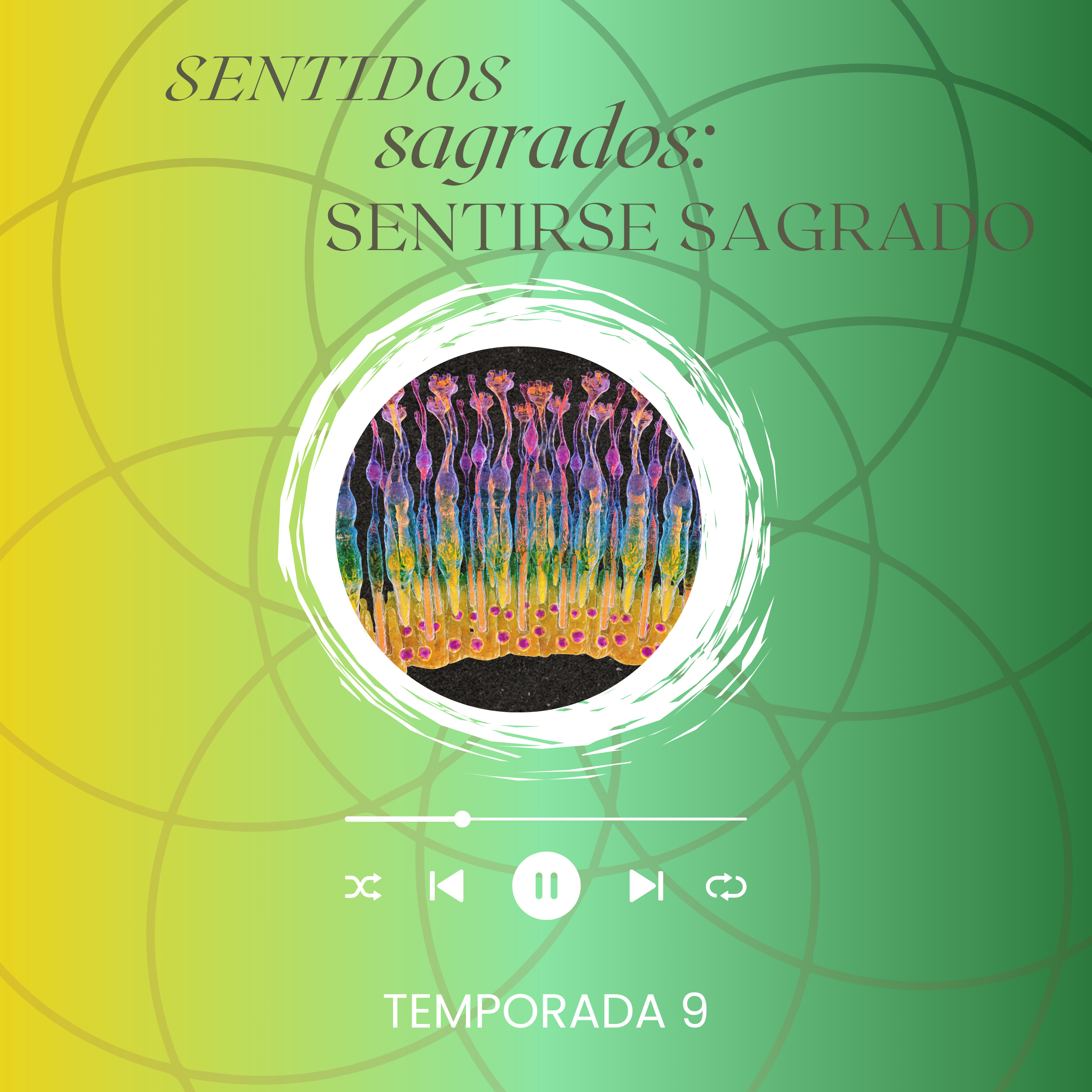 Sentidos sagrados