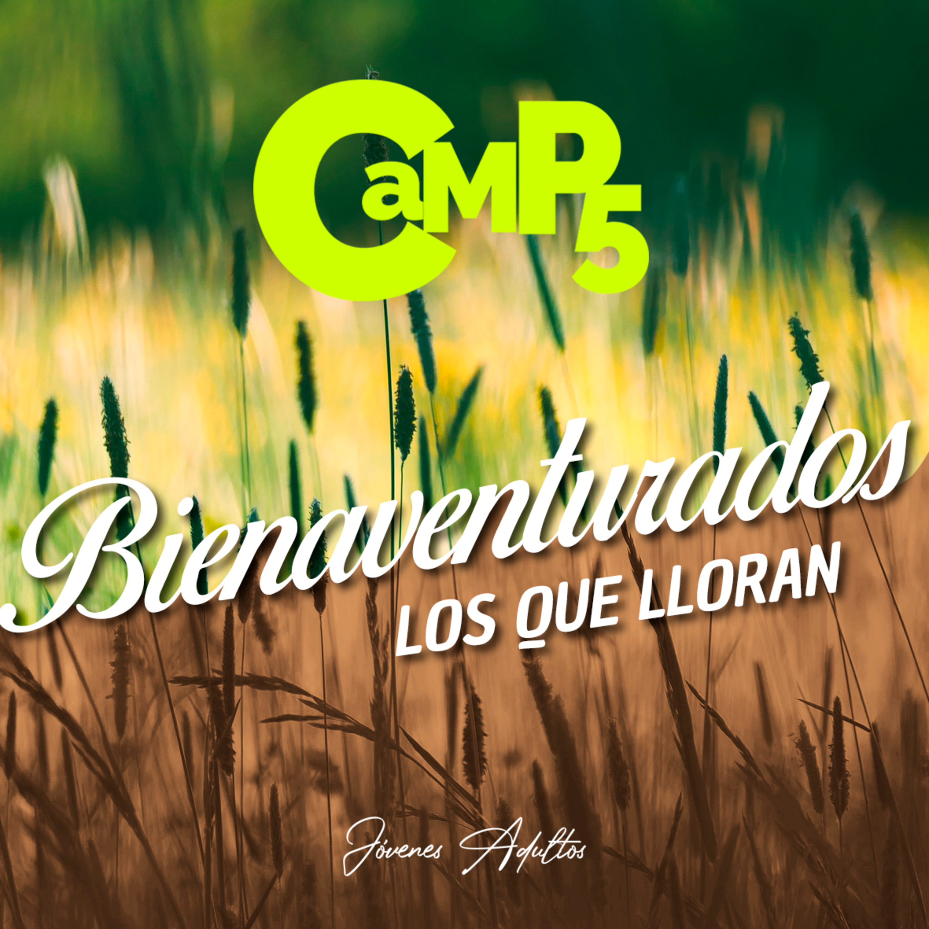 Bienaventurados Los que Lloran - Roy Urrieta  episode artwork