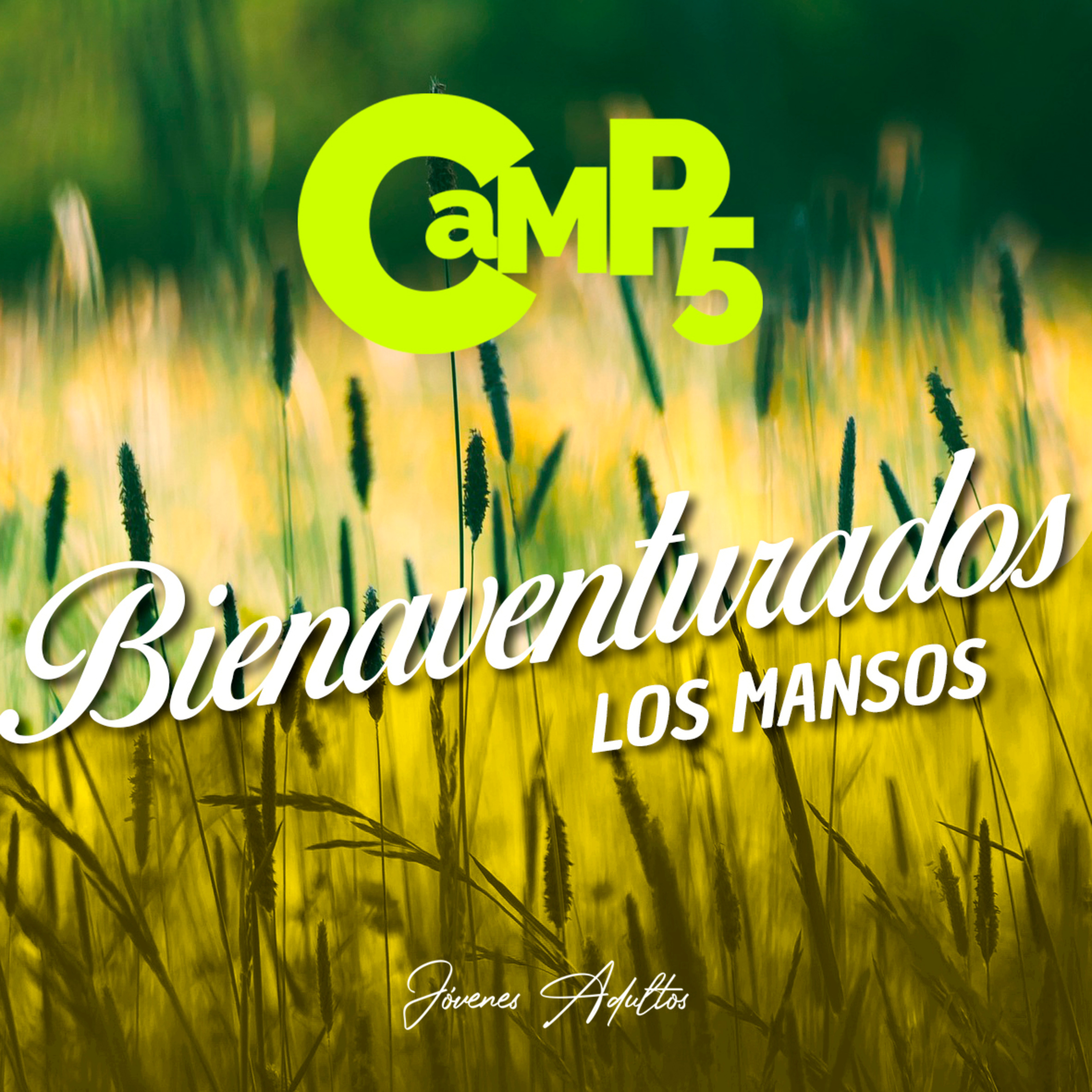 Bienaventurados Los Mansos - Roy Urrieta 