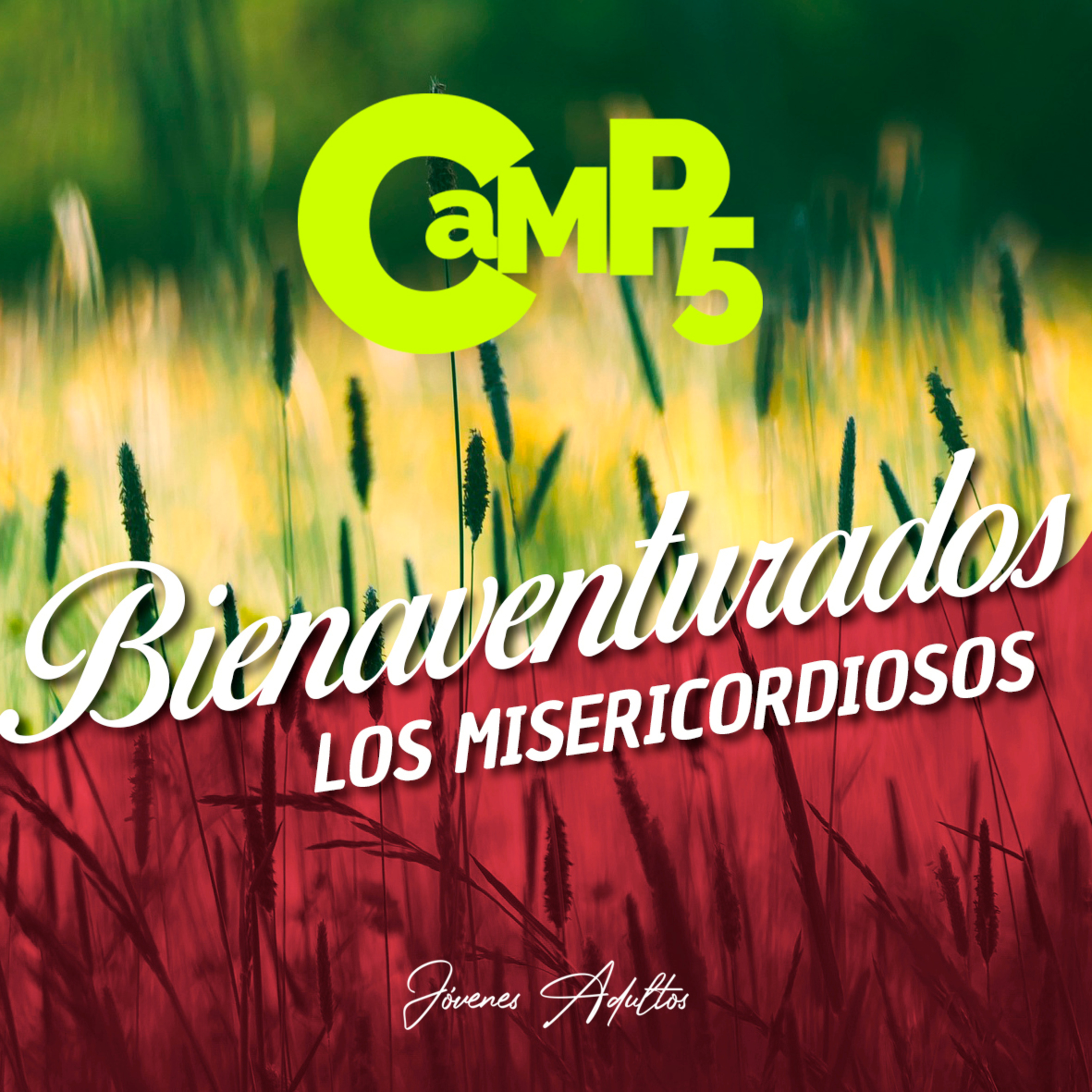 Bienaventurados Los Misericordiosos - Roy Urrieta