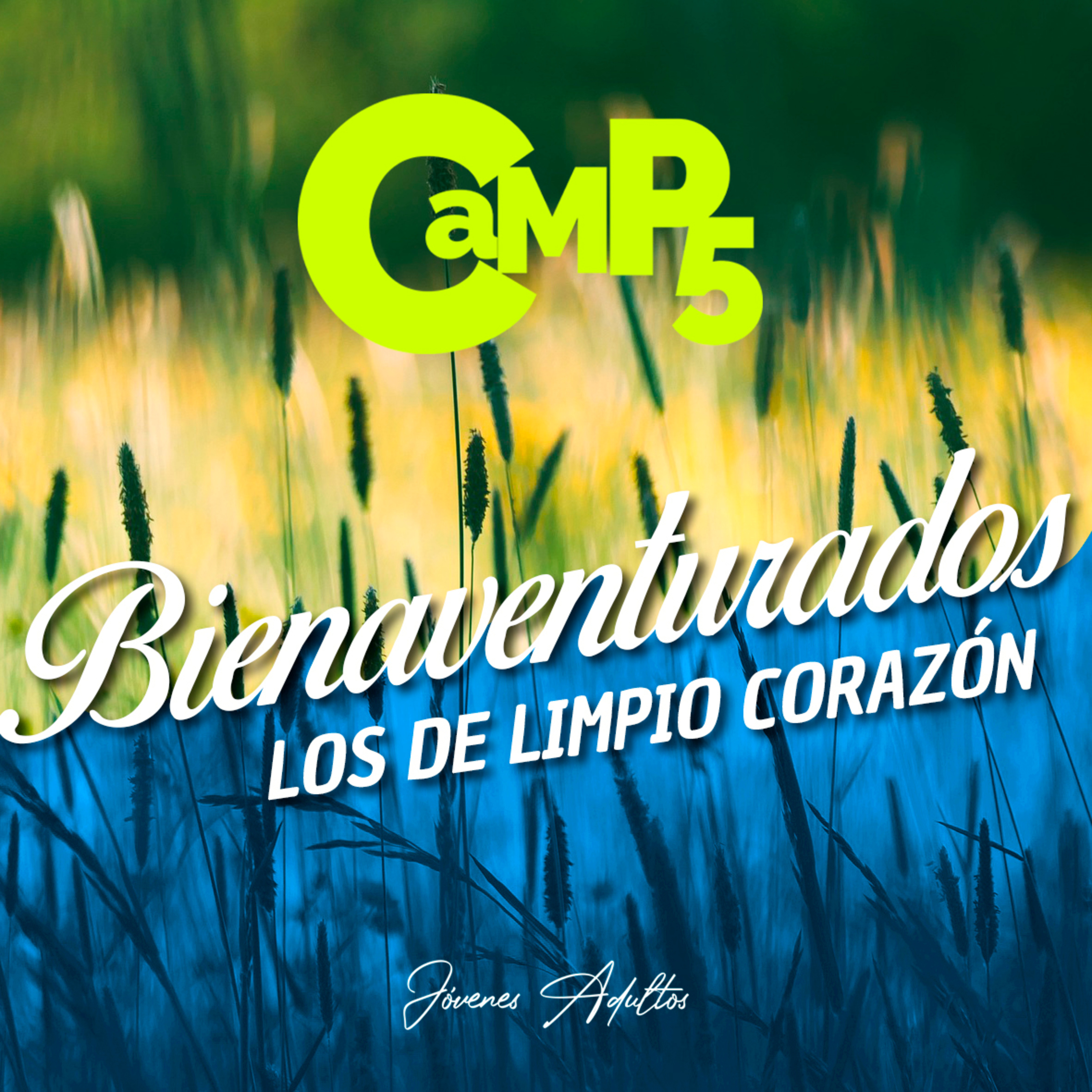 Bienaventurados Los De Limpio Corazon - Roy Urrieta 