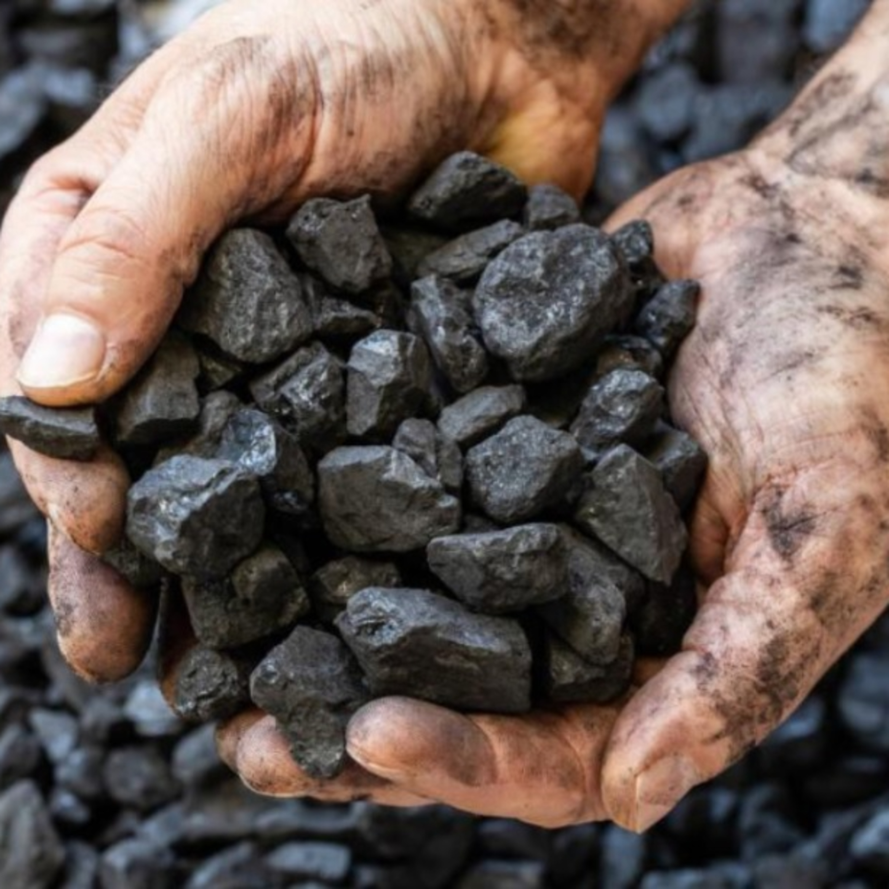 Economia e Negócios: plataforma registra créditos de carbono na B3 episode artwork