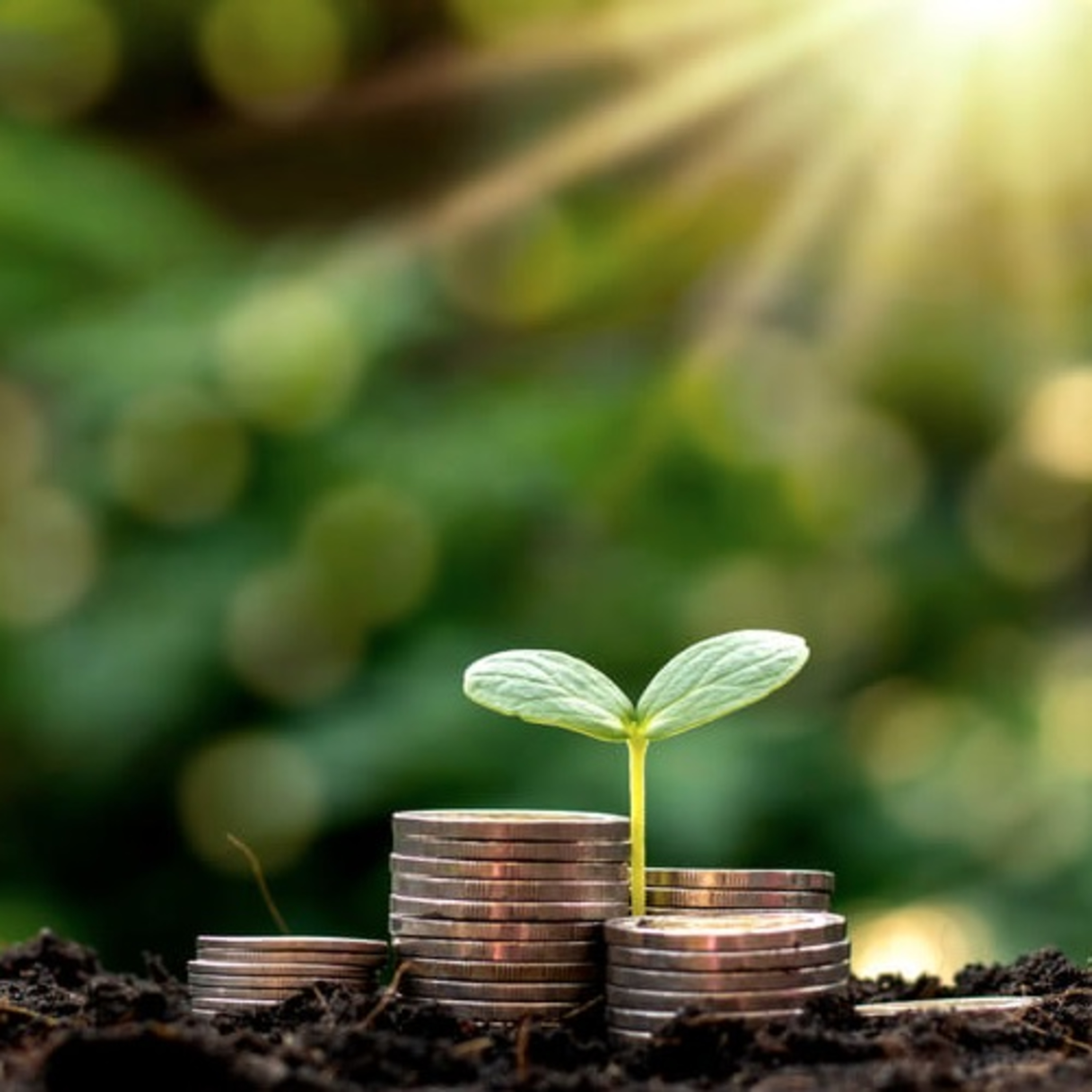 Economia e Negócios: Mercado de empregos verdes está em expansão no Brasil episode artwork