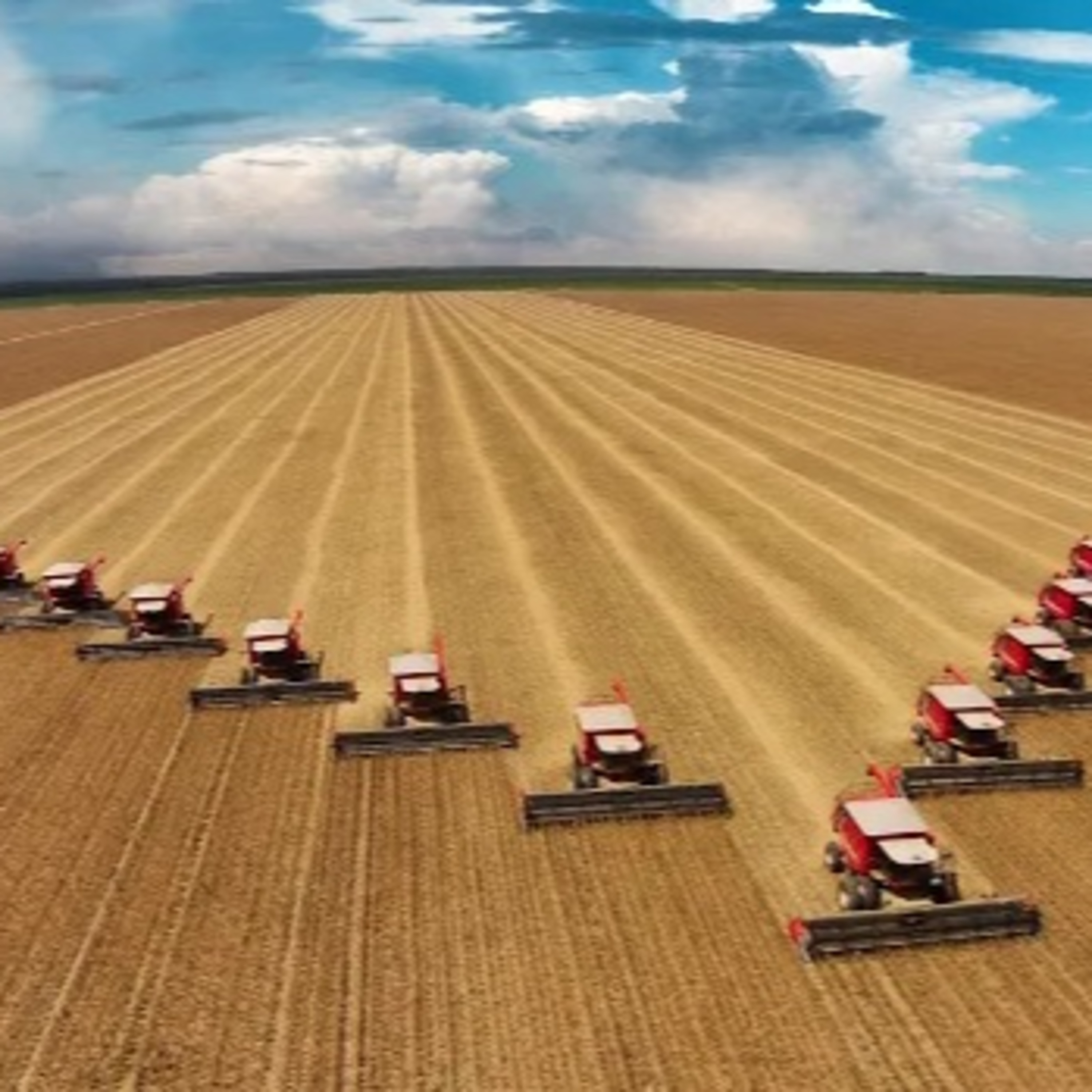 Economia e Negócios: Área a ser colhida em 2025 no agronegócio é 3% maior que 2024 episode artwork