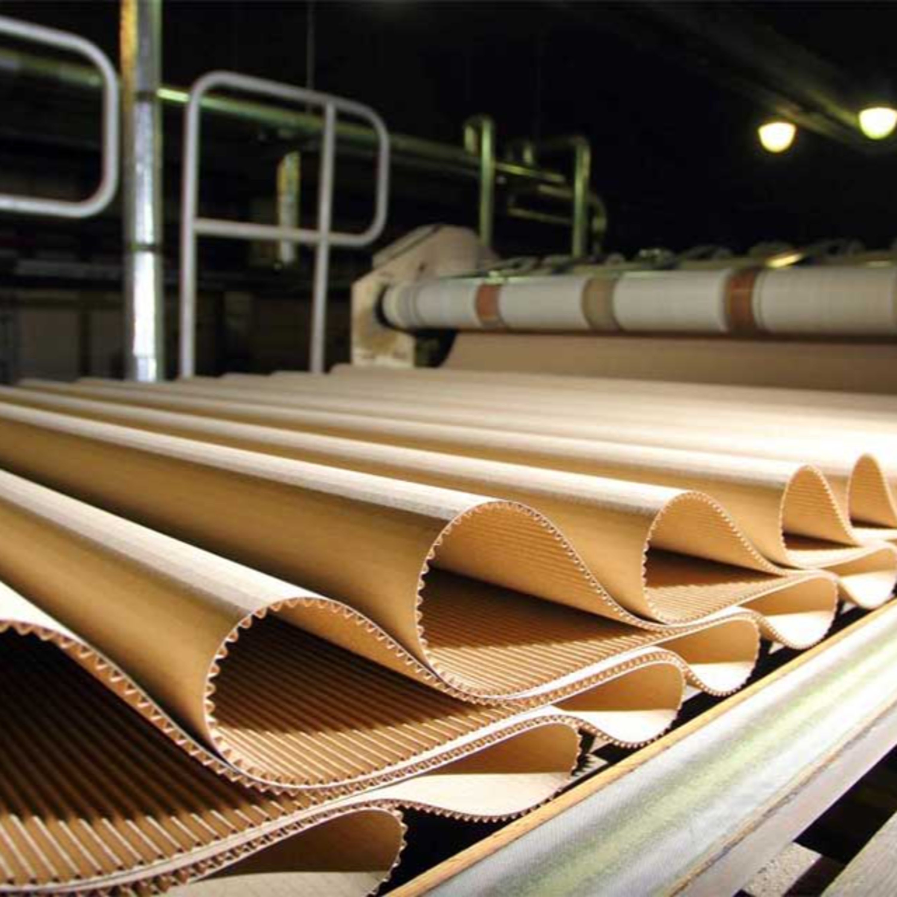 Economia e Negócios: Expedição de papelão ondulado atinge recorde histórico em setembro episode artwork