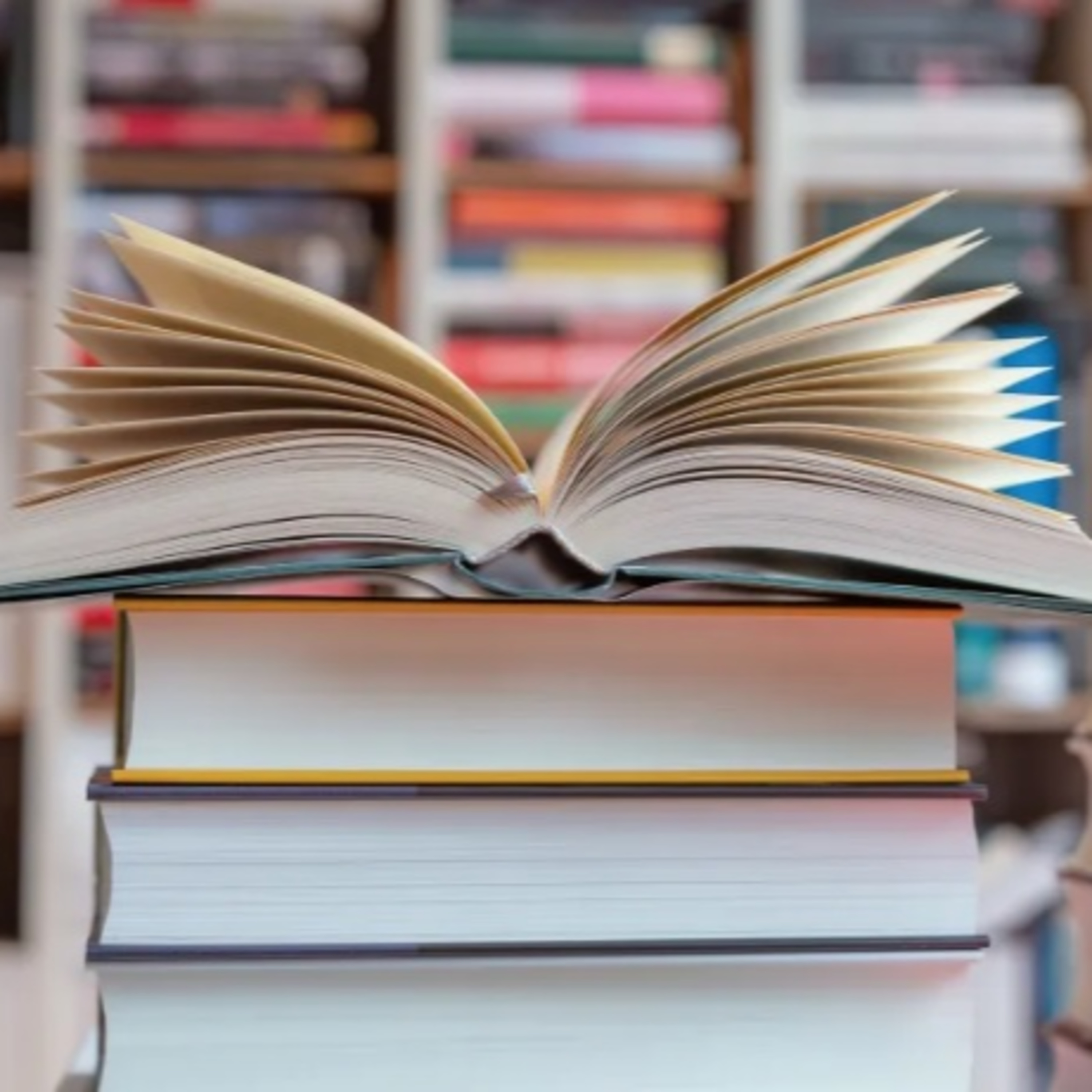 Economia e Negócios: Varejo de livros mantém crescimento em 2025, aponta pesquisa do setor episode artwork