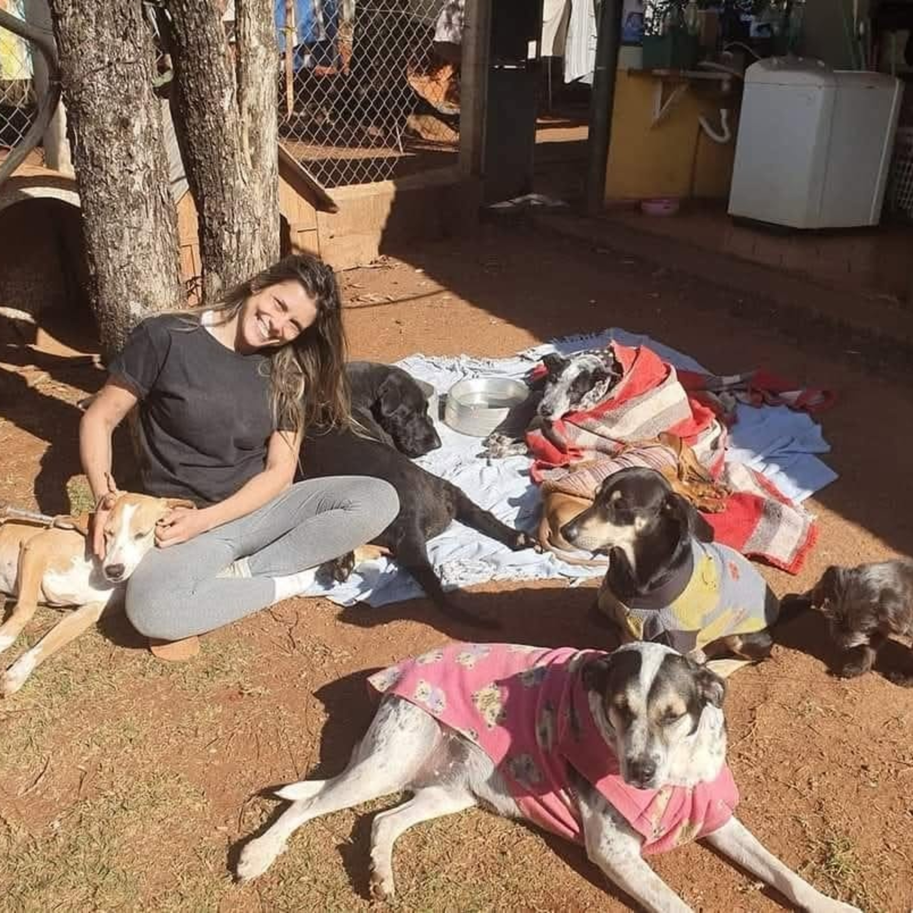ONG Lar São Francisco: há 13 anos atua nos cuidados de animais abandonados e vítimas de maus tratos episode artwork