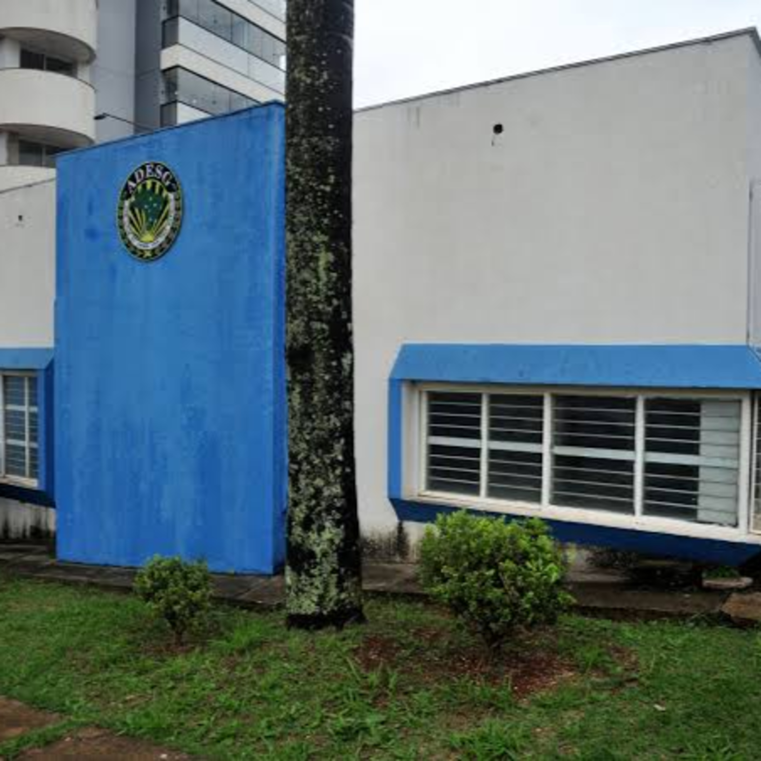 ADESG promove palestras para a nova turma do Curso de Estudos de Política e Estratégia episode artwork