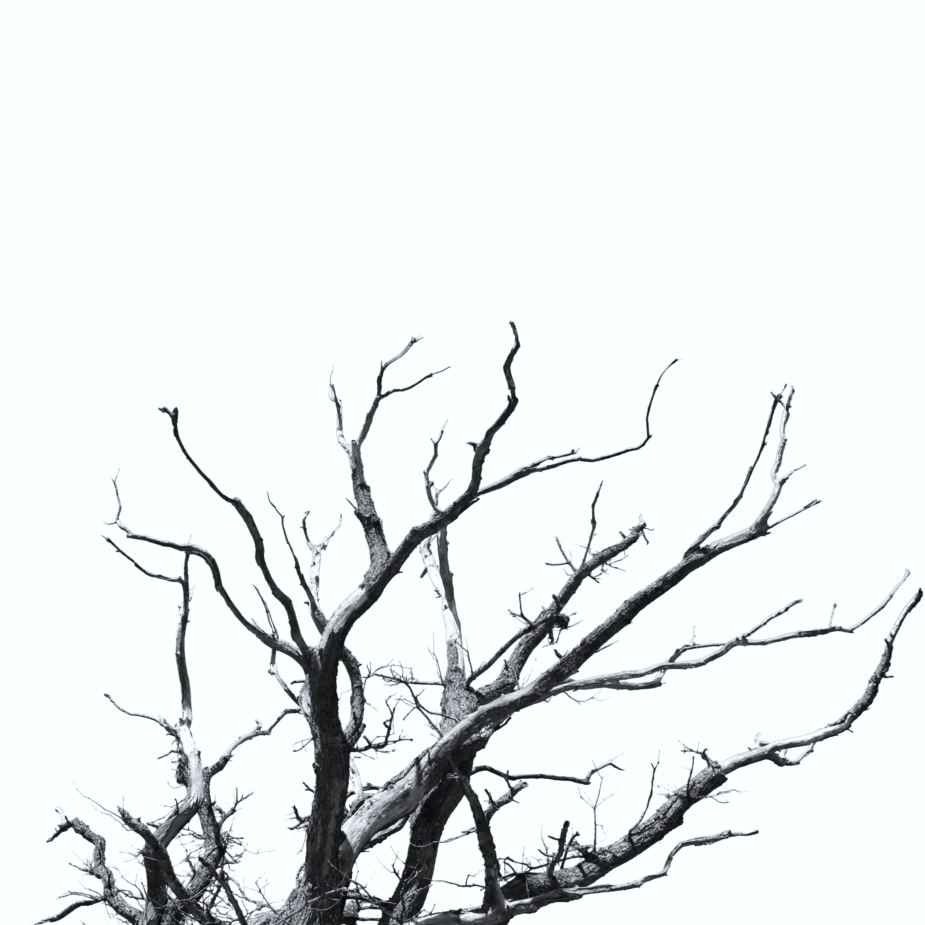 Let's Deal With the Root In Order to See Real Change episode artwork