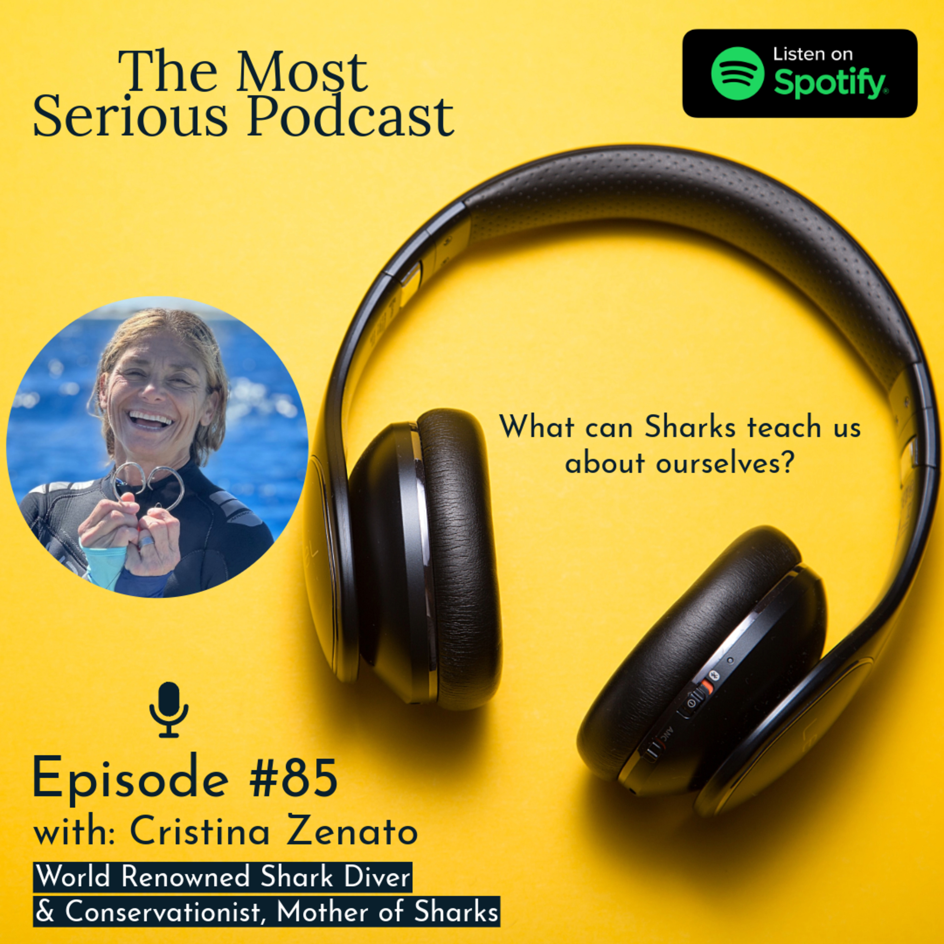 The Most Serious Podcast