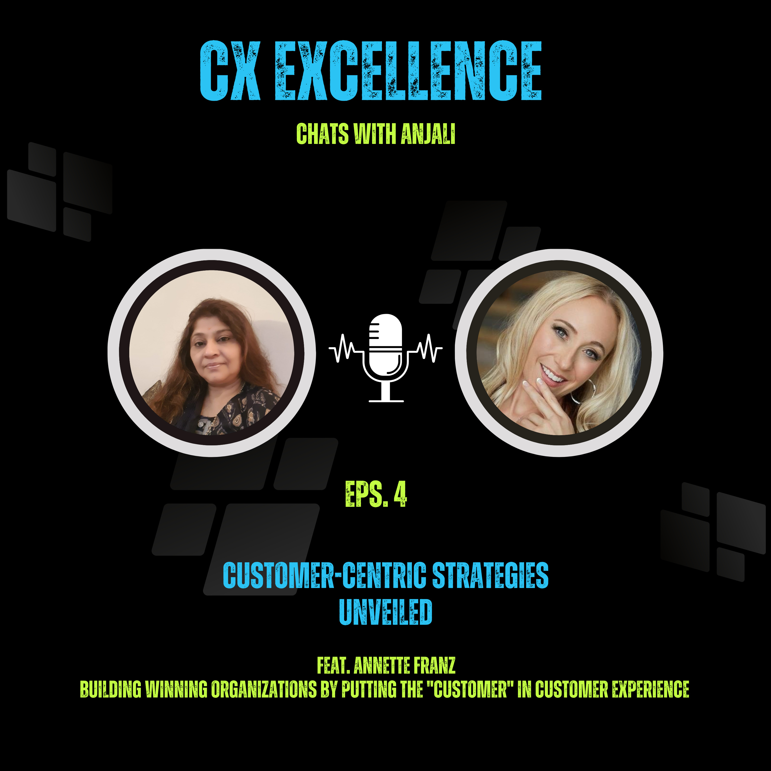 Customer-Centric Strategies Unveiled: A Conversation with Annette Franz episode artwork