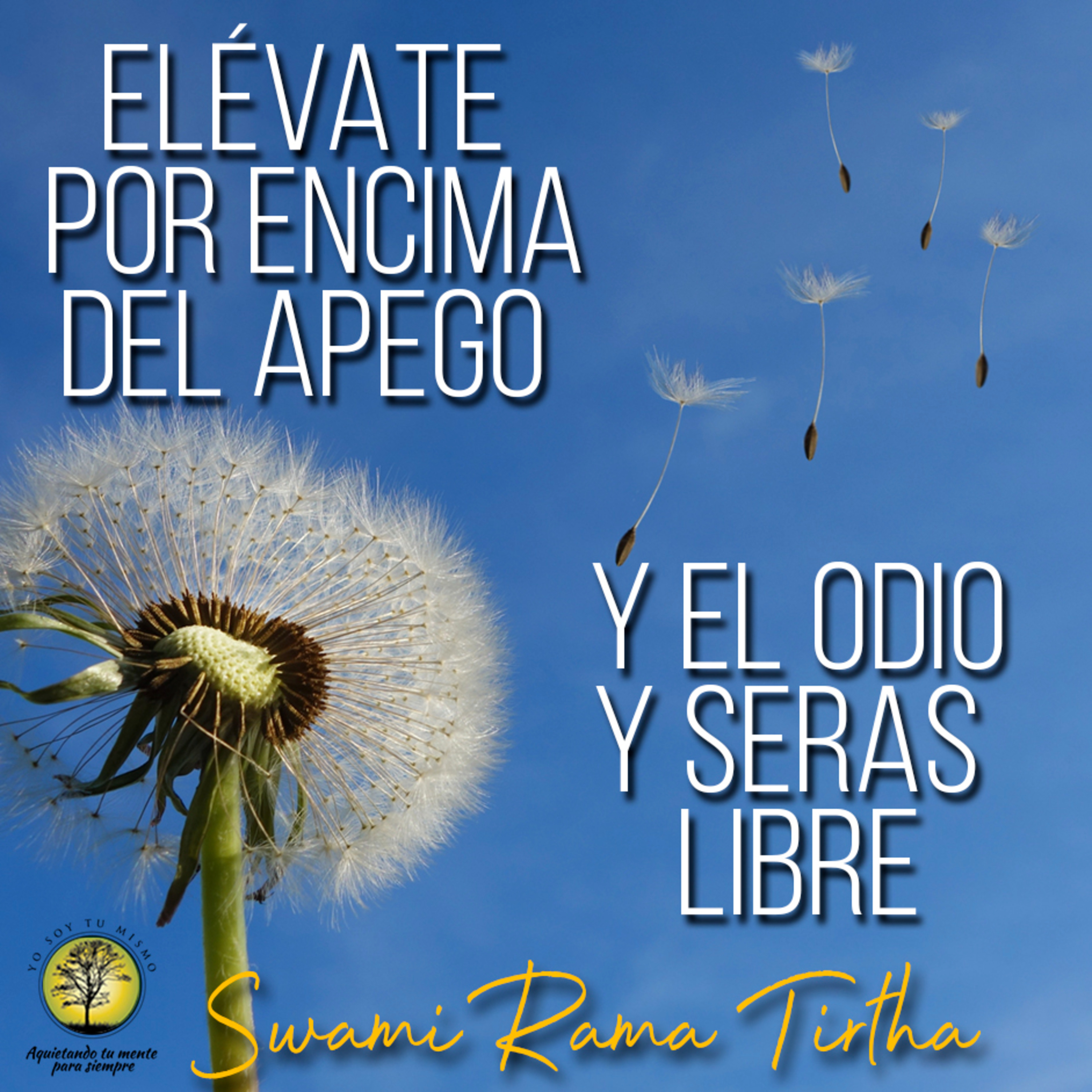 201-ELÉVATE POR ENCIMA DEL APEGO Y EL ODIO Y SERÁS LIBRE ~ Swami Rama Tirtha episode artwork