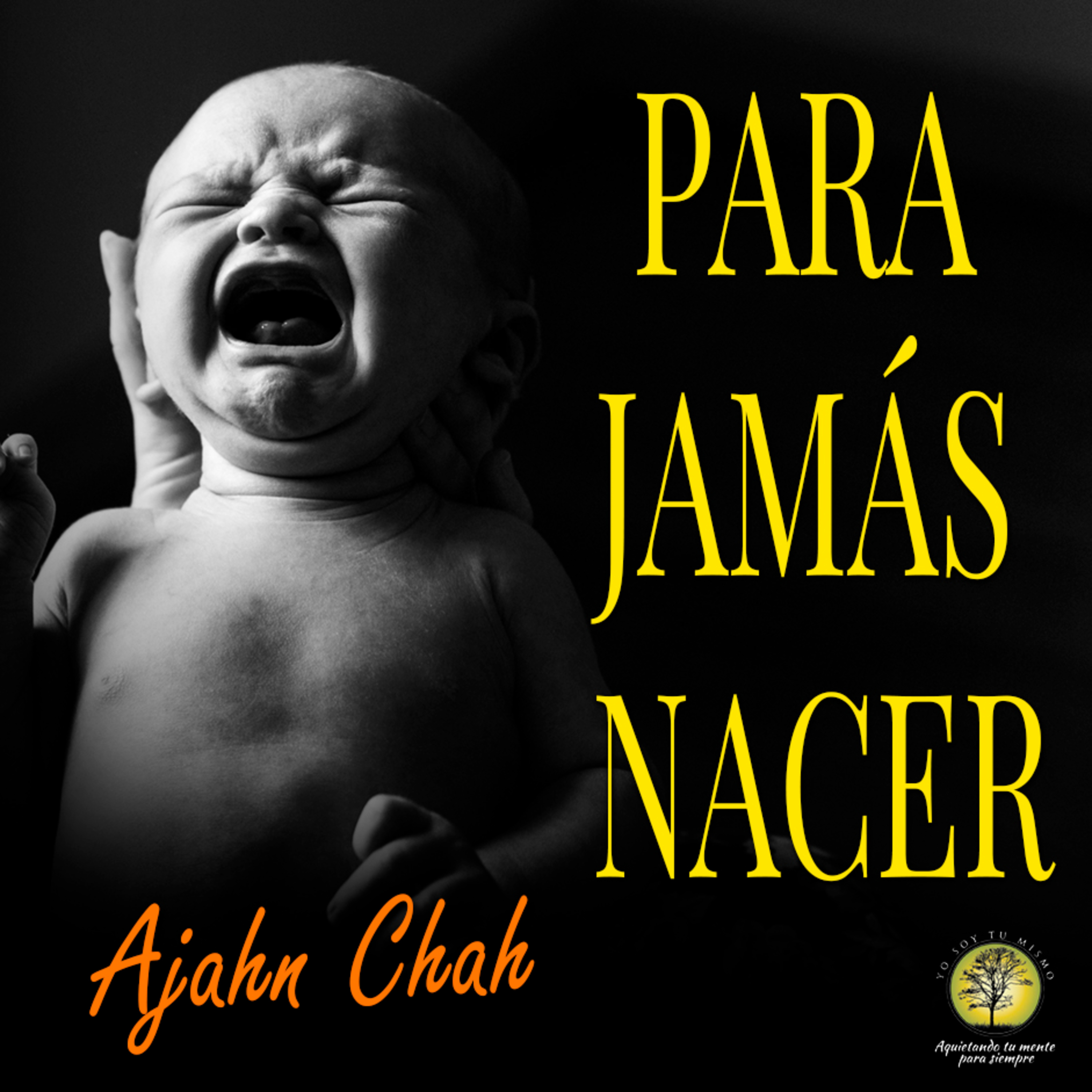 203-PARA JAMÁS NACER ~ Ajahn Chah episode artwork