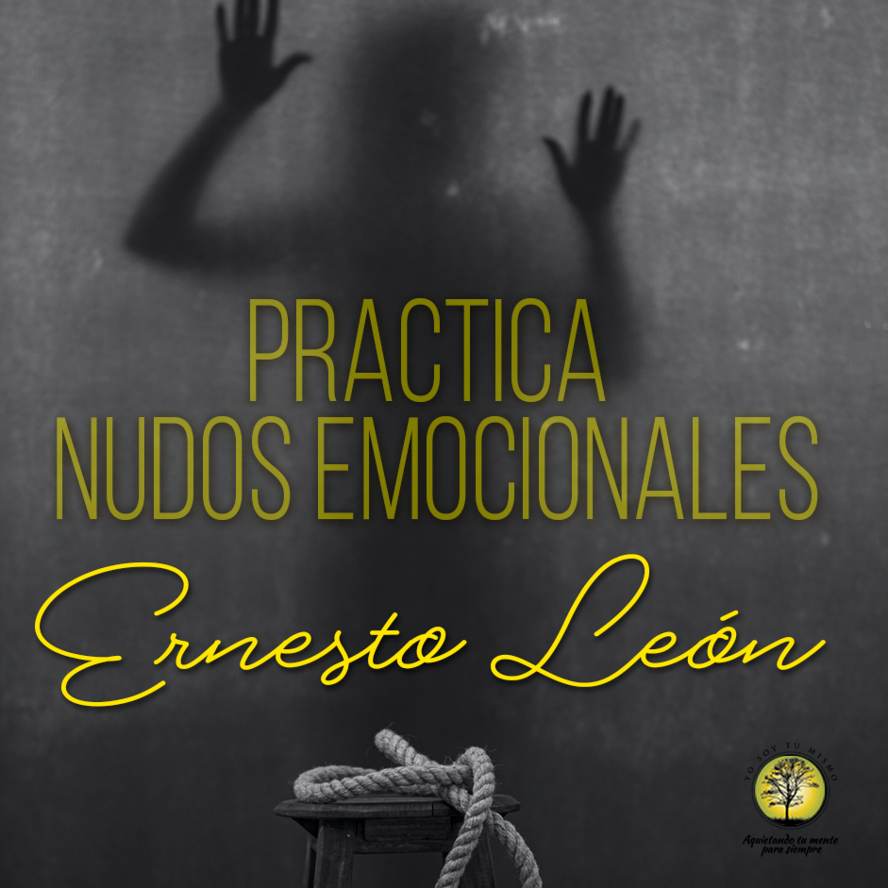 216-PRACTICA NUDOS EMOCIONALES ~ Ernesto León episode artwork