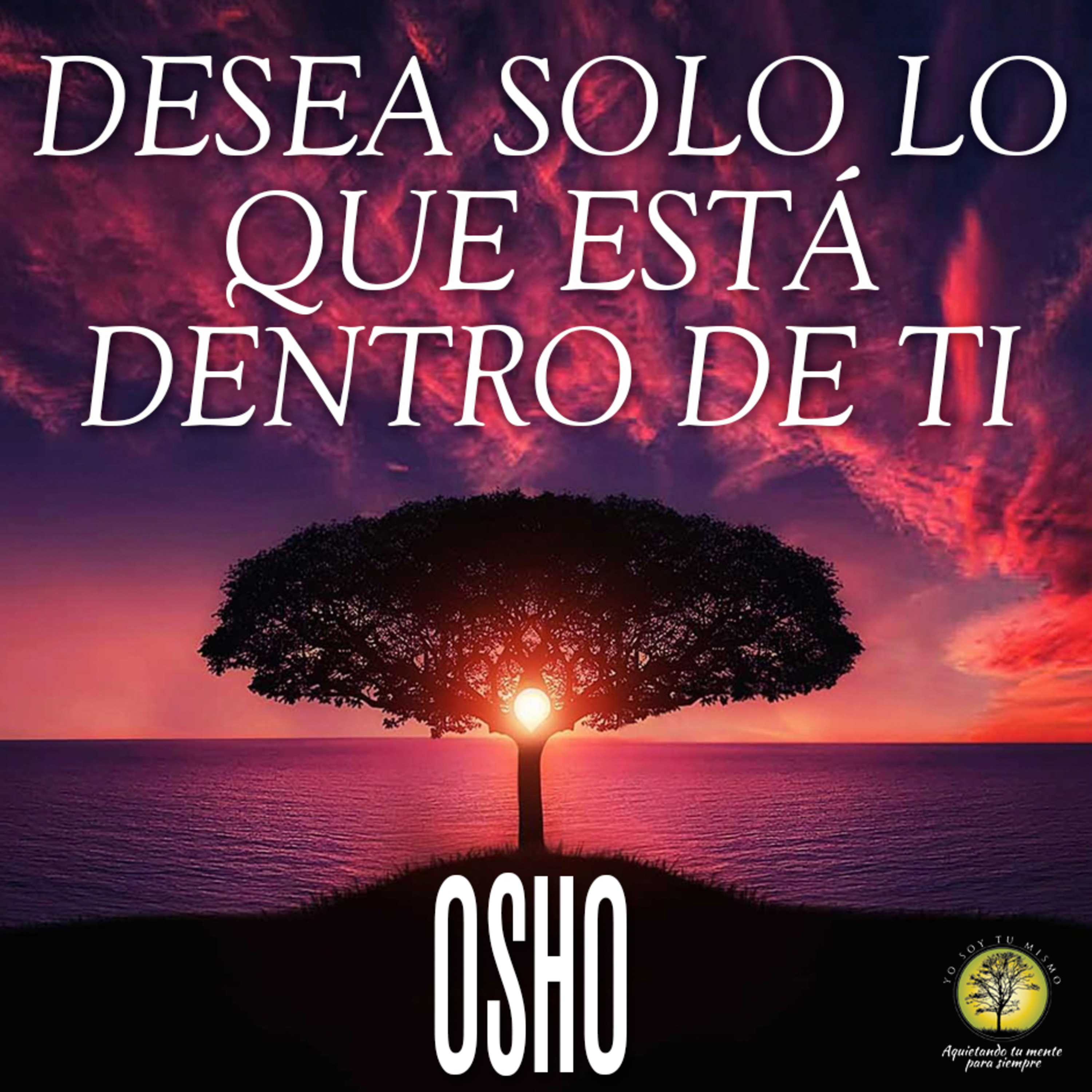 224-DESEA SOLO LO QUE ESTÁ DENTRO DE TI ~ Osho episode artwork