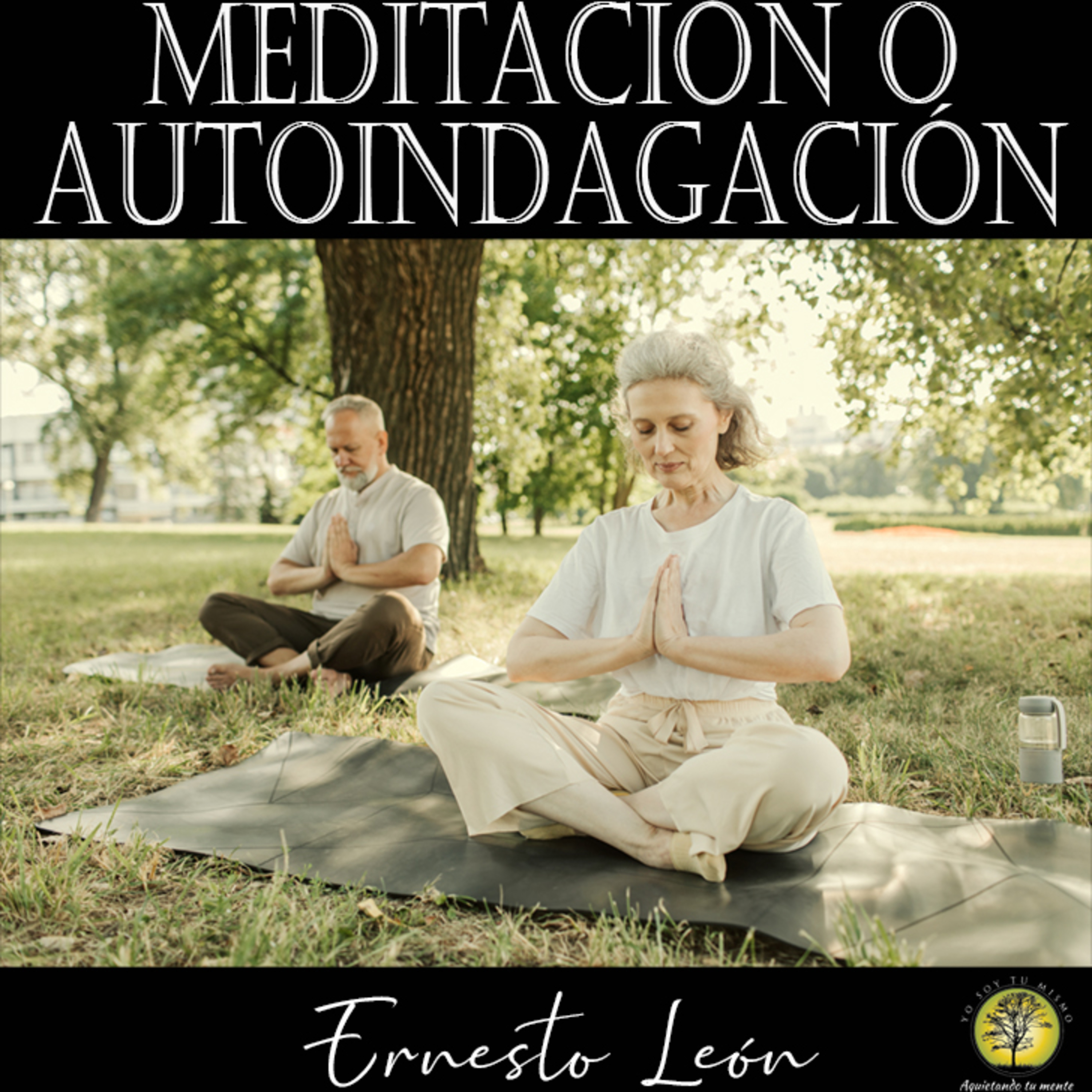 239-MEDITACIÓN O AUTOINDAGACIÓN ~ Ernesto León episode artwork
