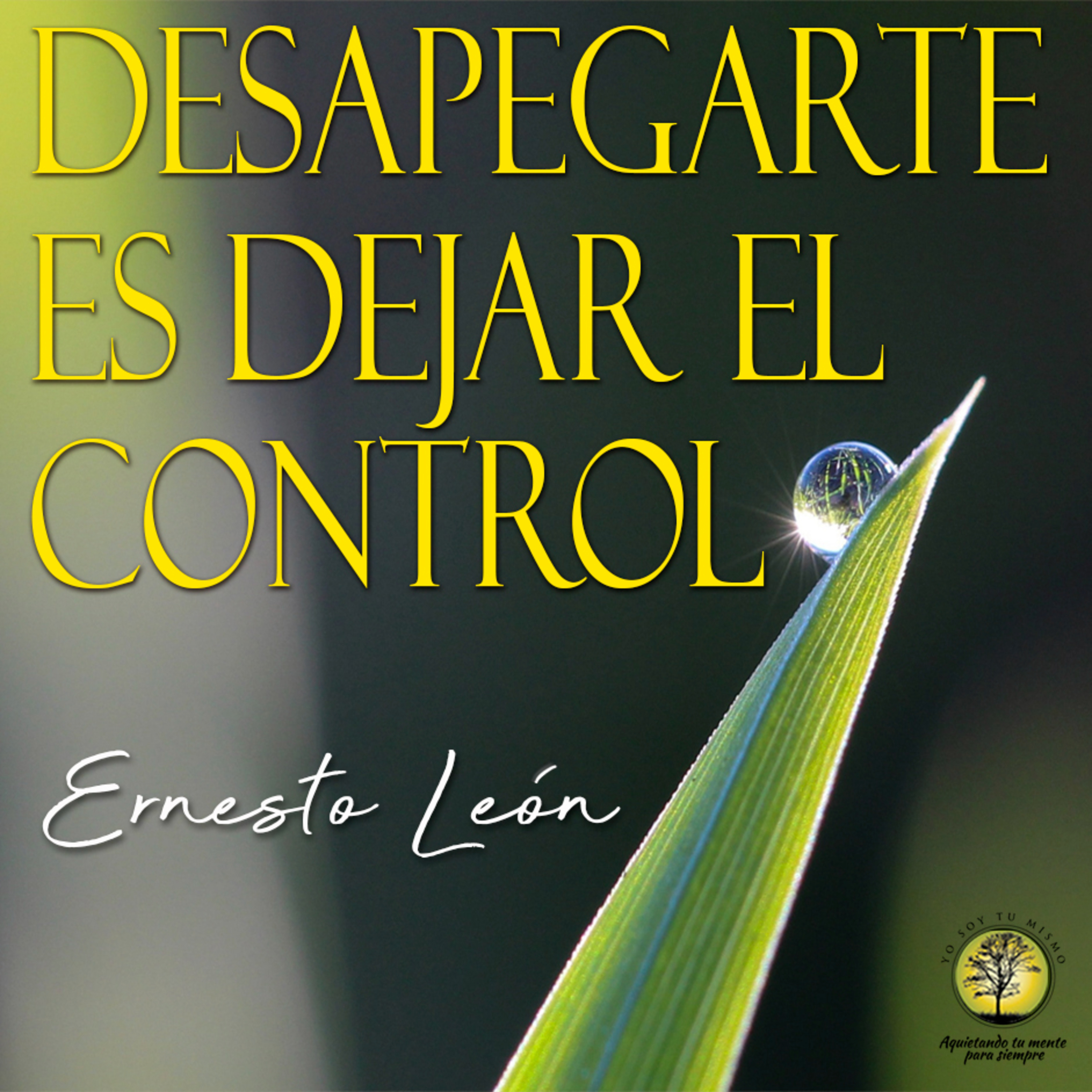 242-DESAPEGARSE ES DEJAR DE CONTROLAR ~ Ernesto León episode artwork
