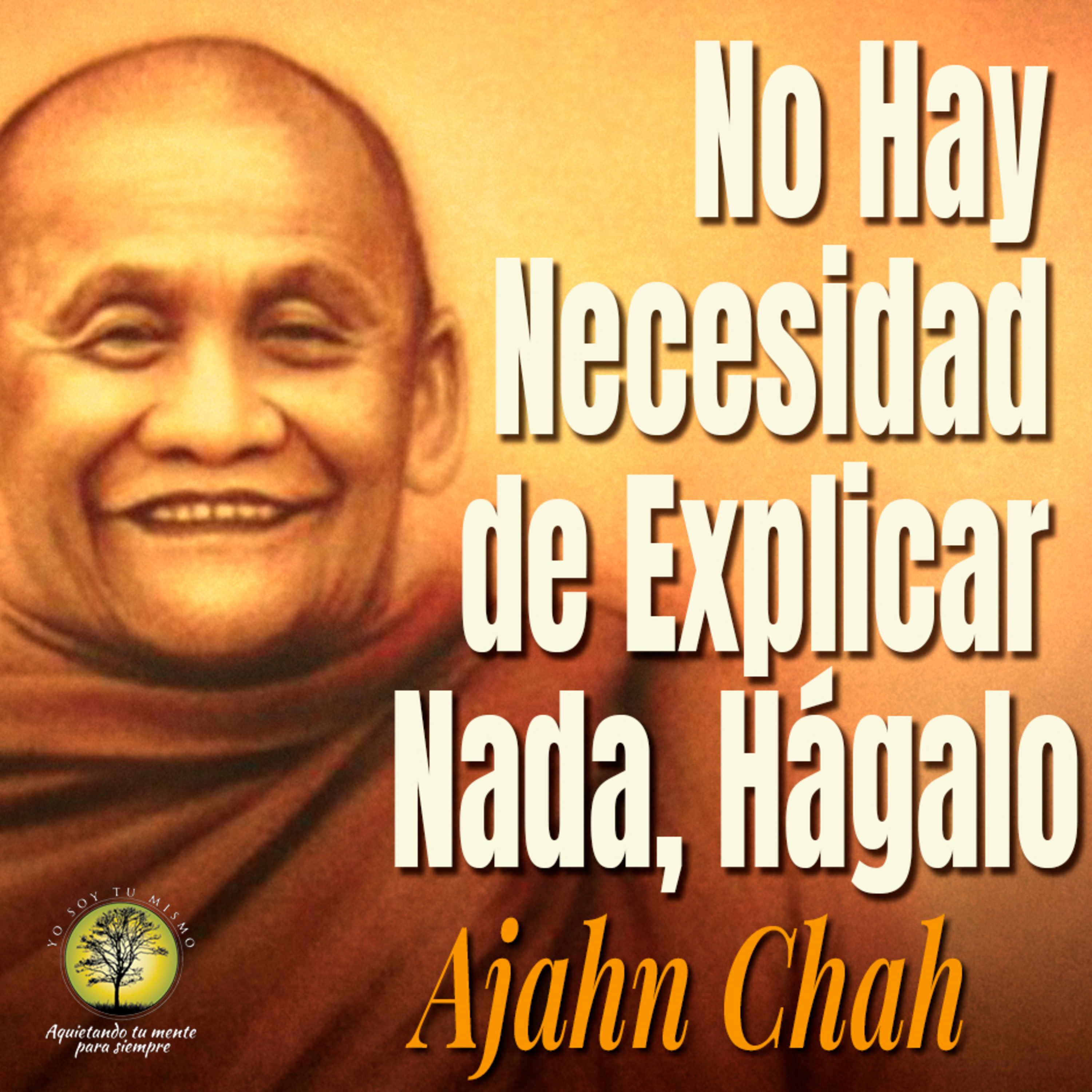 245-NO HAY NECESIDAD DE EXPLICAR NADA, HÁGALO ~ Ajahn Chah episode artwork