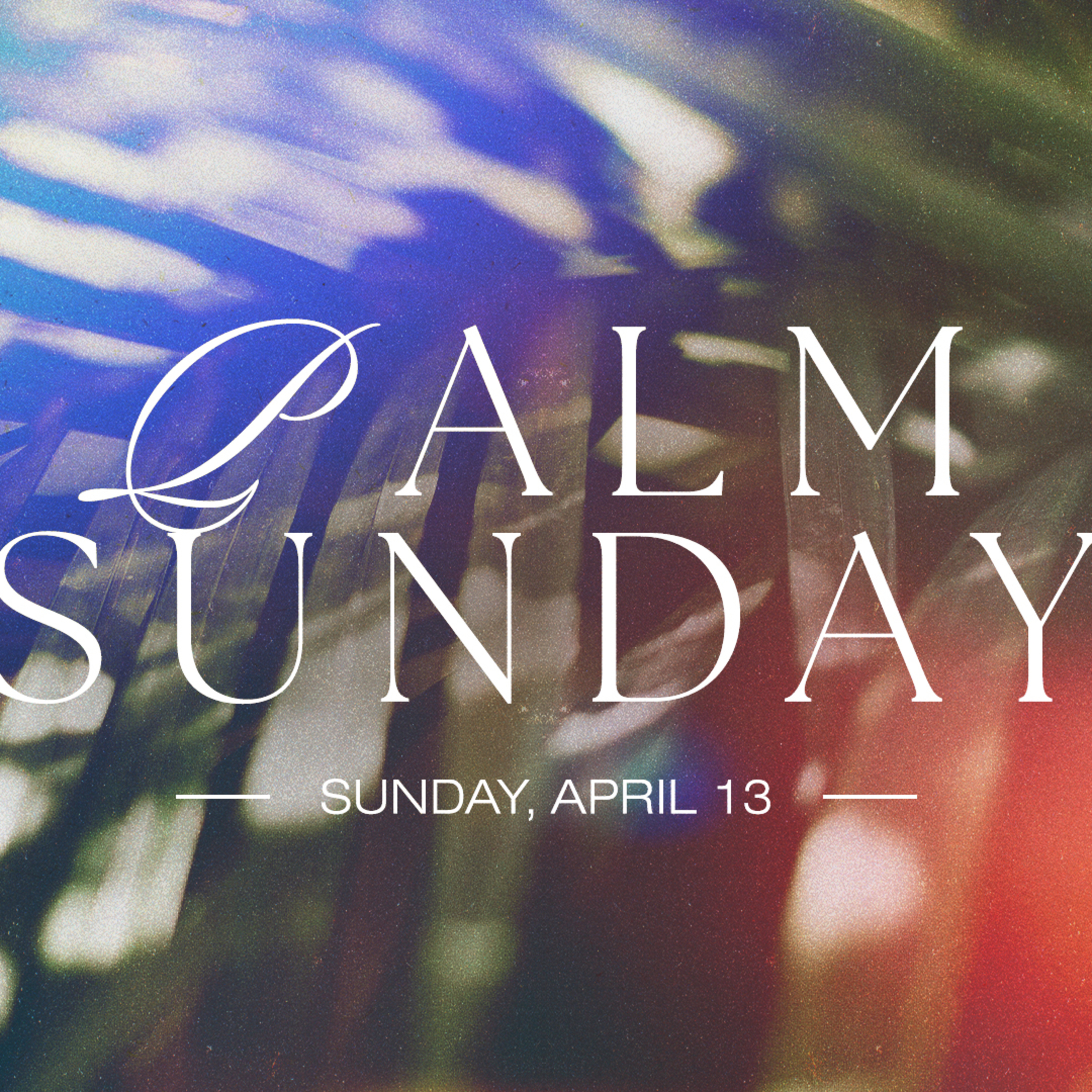 Figs and Faith | Palm Sunday | Nathan Bentley