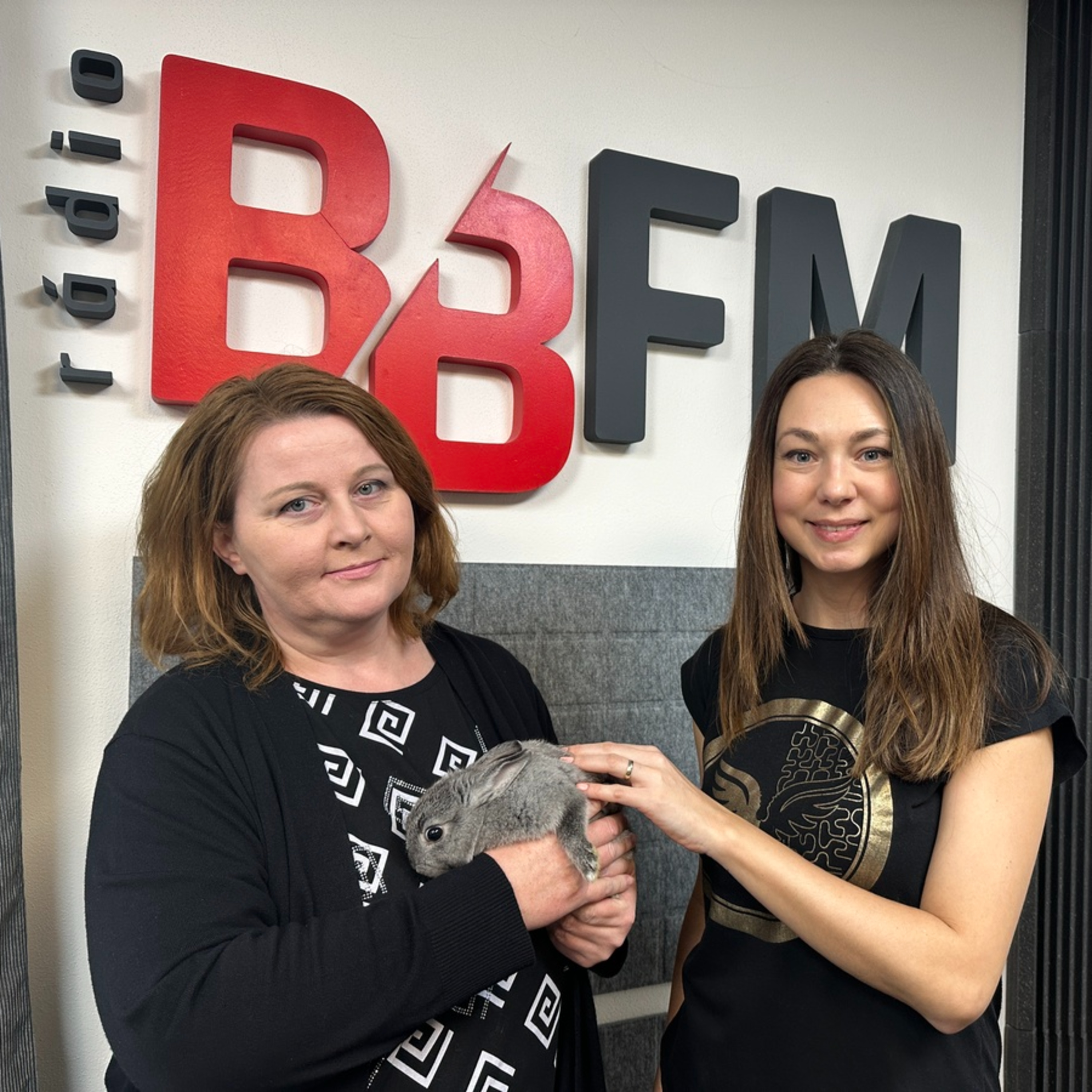 BB FM rádio