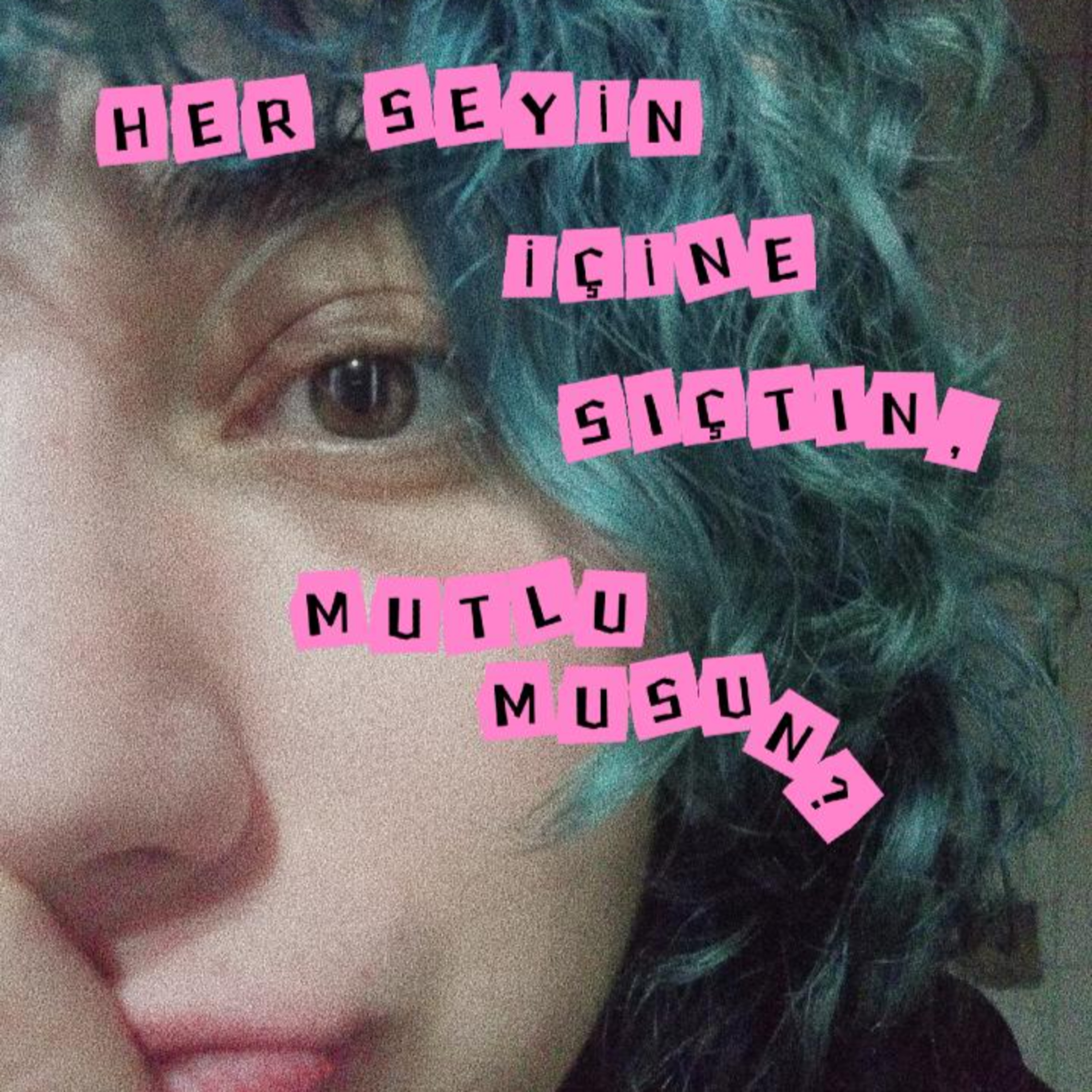 "Her Şeyin İçine Sıçtın, Mutlu Musun?" Bölüm 2 - Suçluluk 🐍 episode artwork