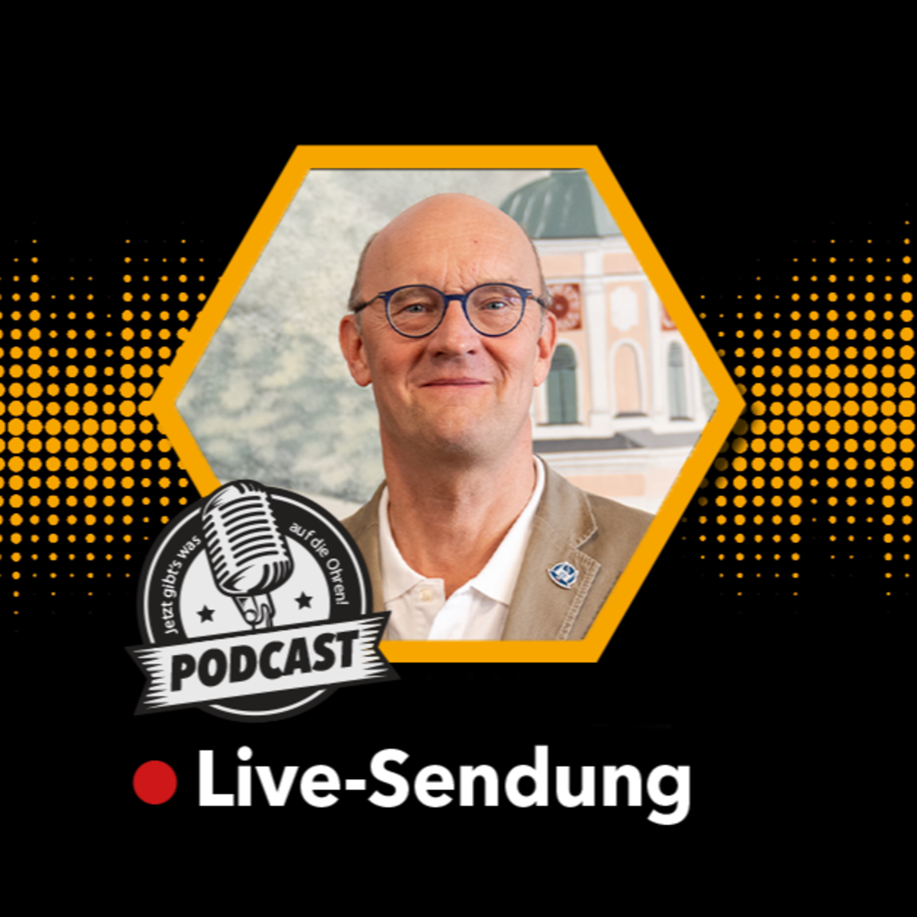 🔴 Hintergrundinfos zur EU-Wahlversammlung der AfD, Teil 2 episode artwork