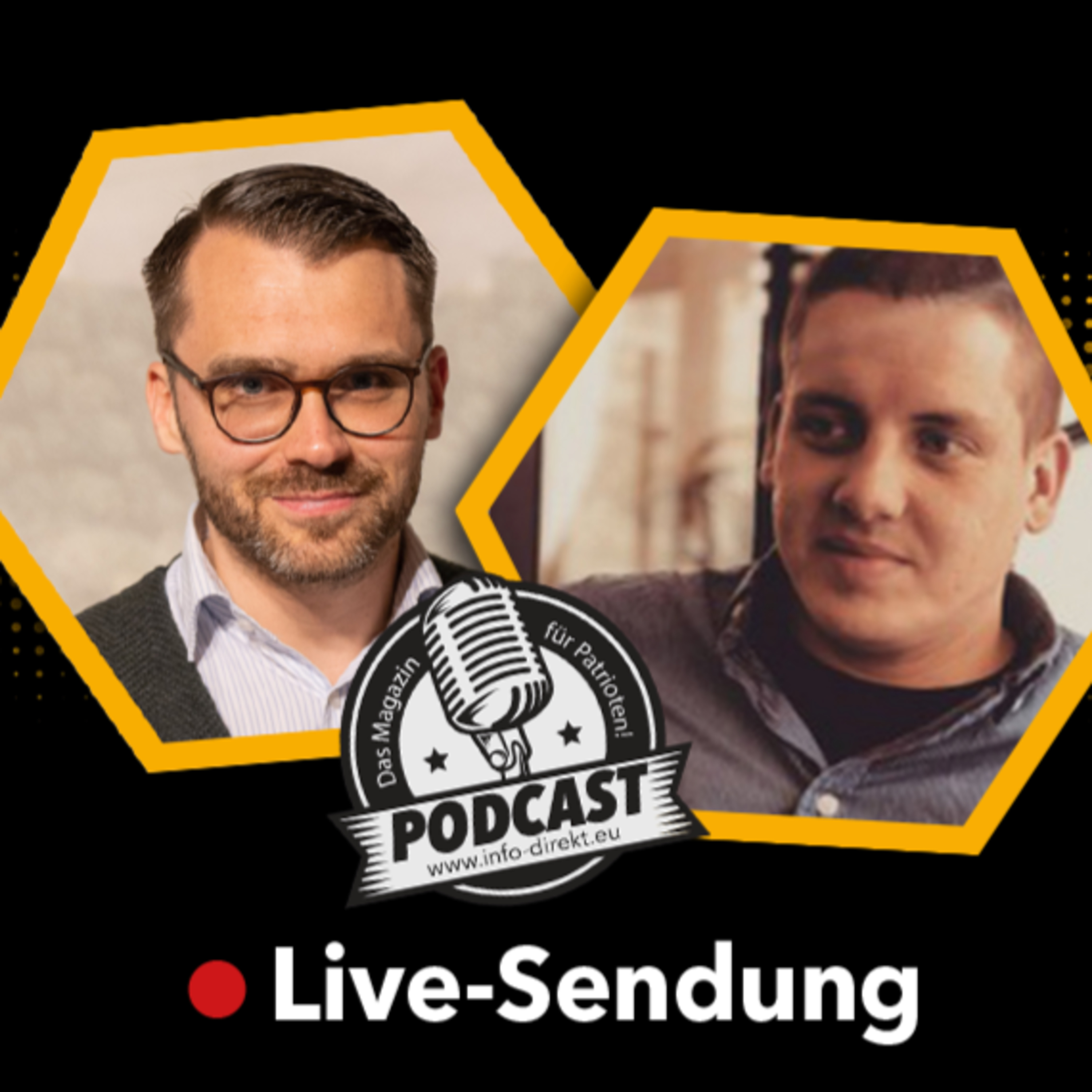 Was ist mit der AfD los? Schlechter EU-Wahlkampf & Krah-Ausschluss episode artwork