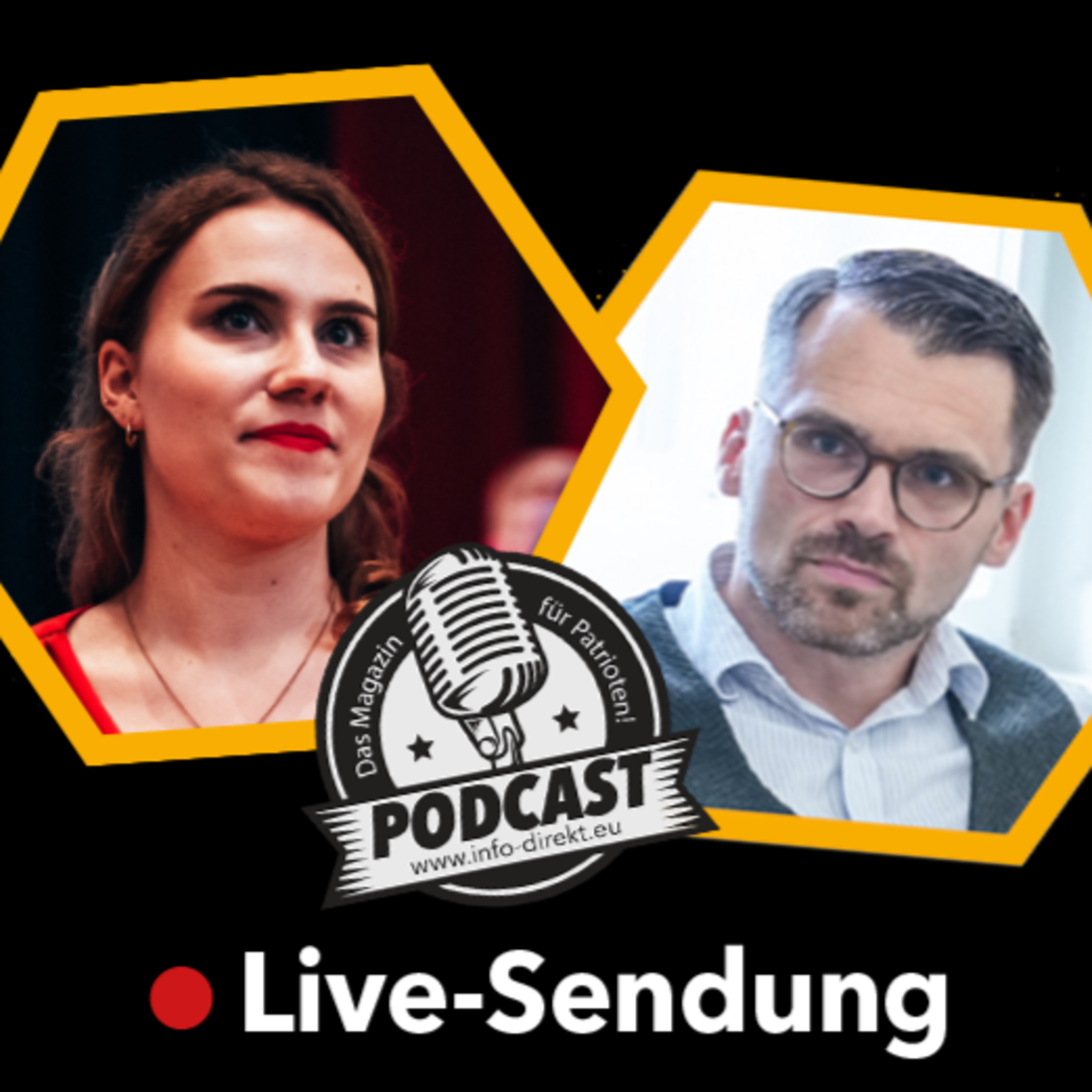 🔴 Analyse des AfD-Bundesparteitags 2024 episode artwork