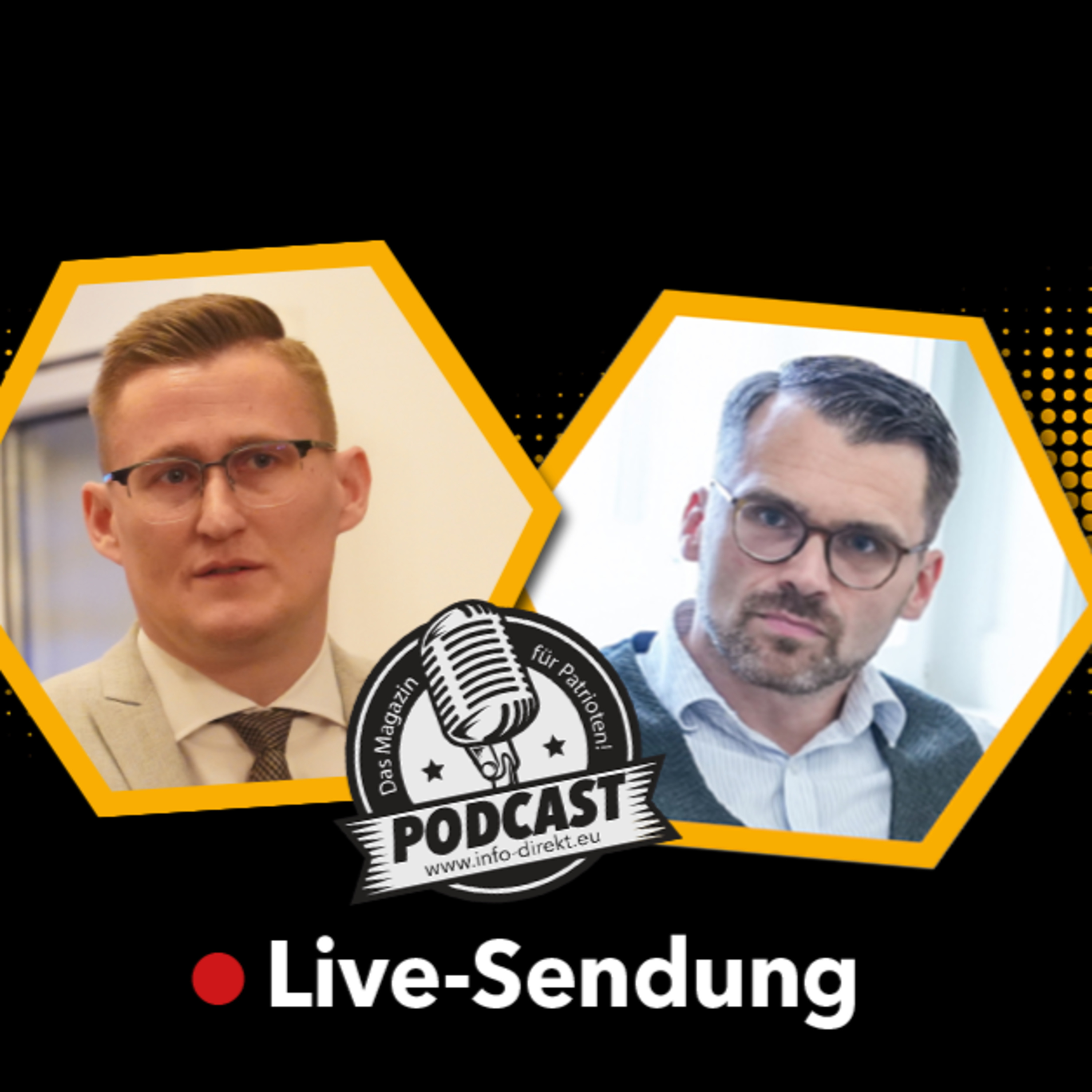 Analyse der Bundestagswahl aus patriotischer Sicht!  episode artwork
