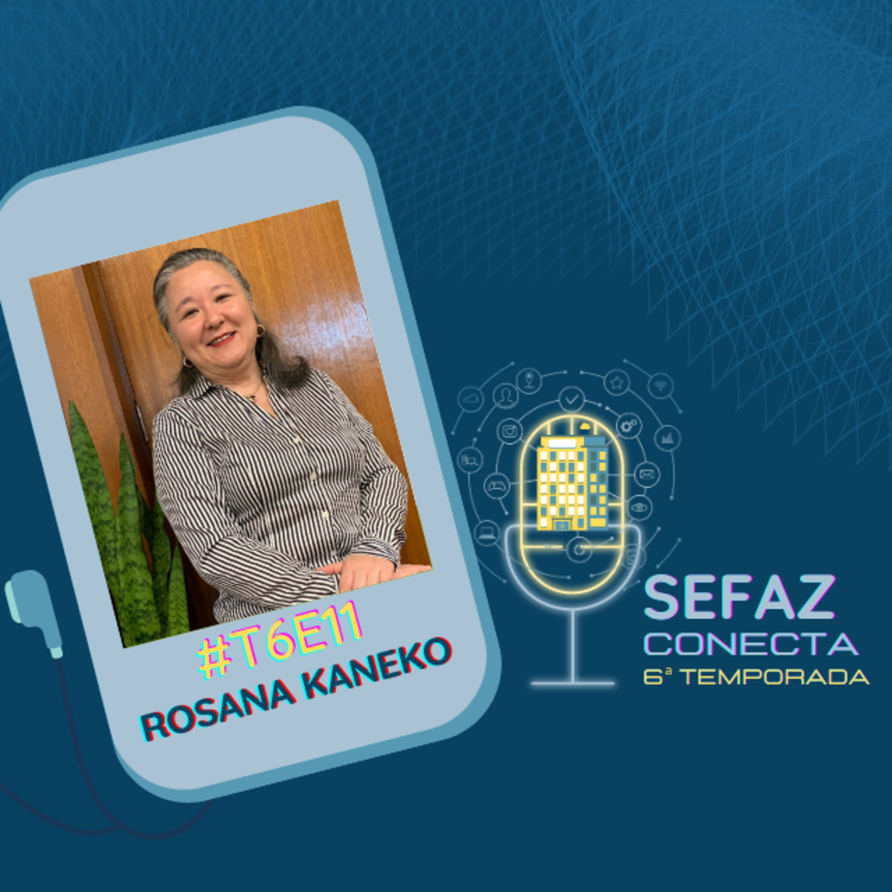 Sefaz Conecta