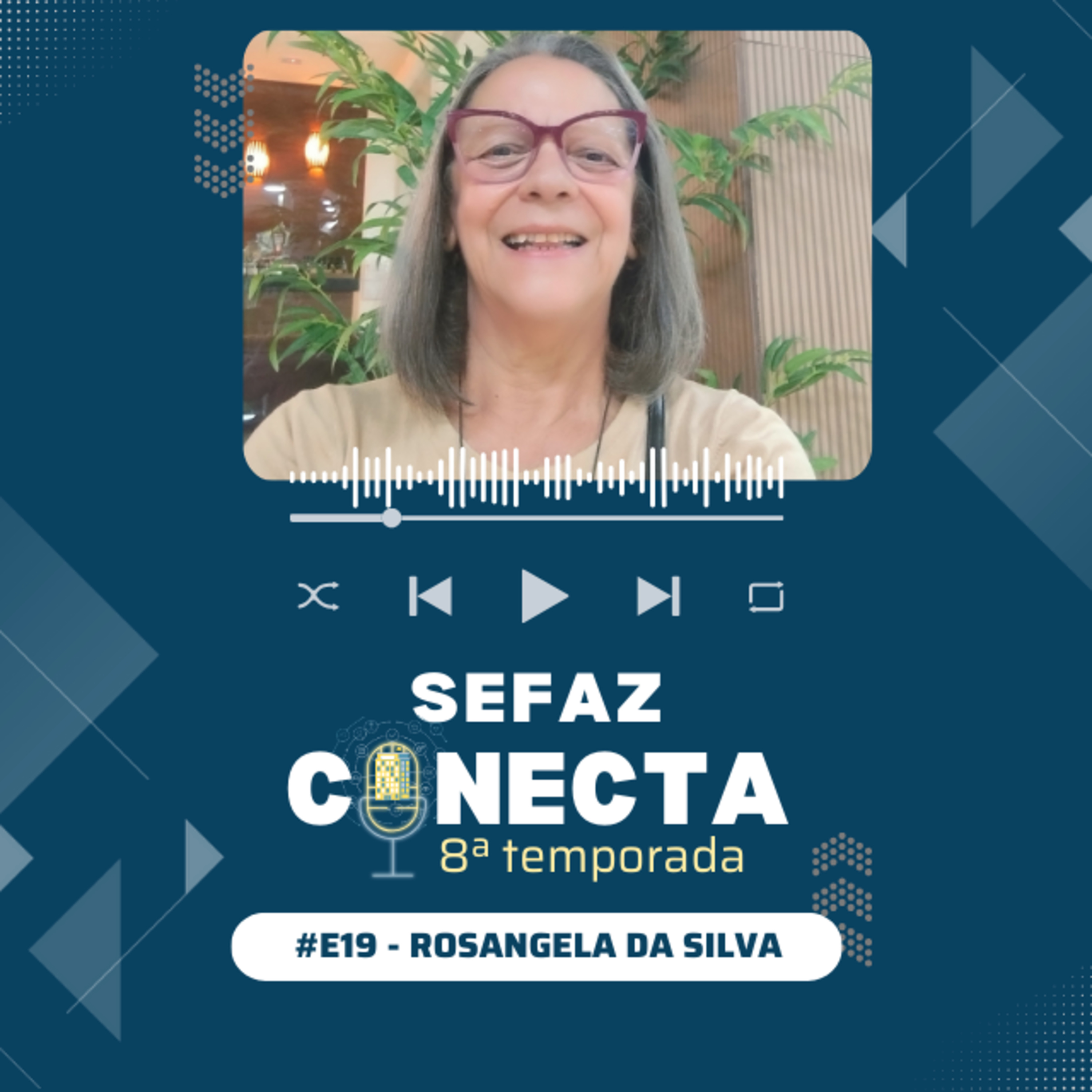 Sefaz Conecta