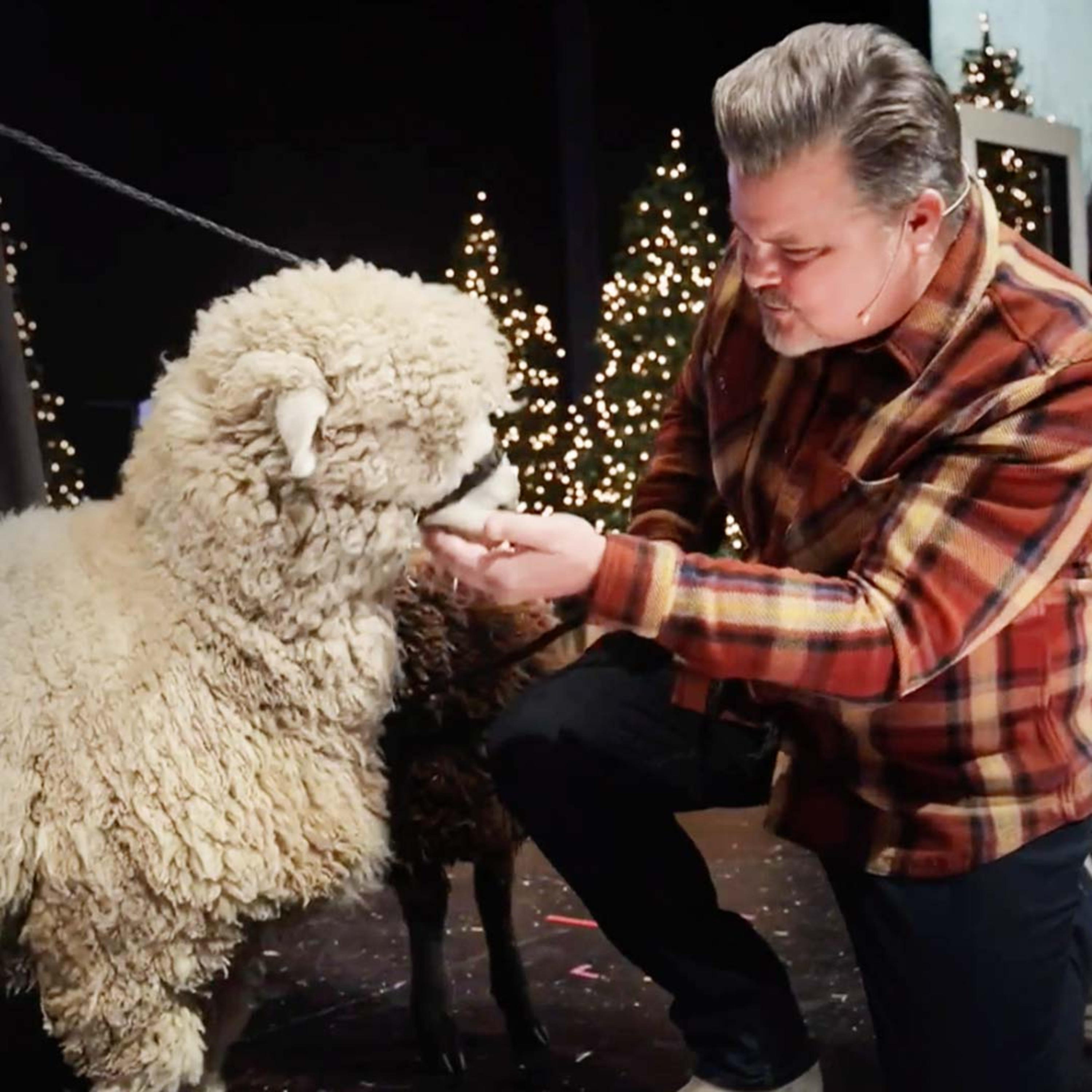 Jesus Was Sent To Earth To Save You | Christmas Eve 2023 episode artwork