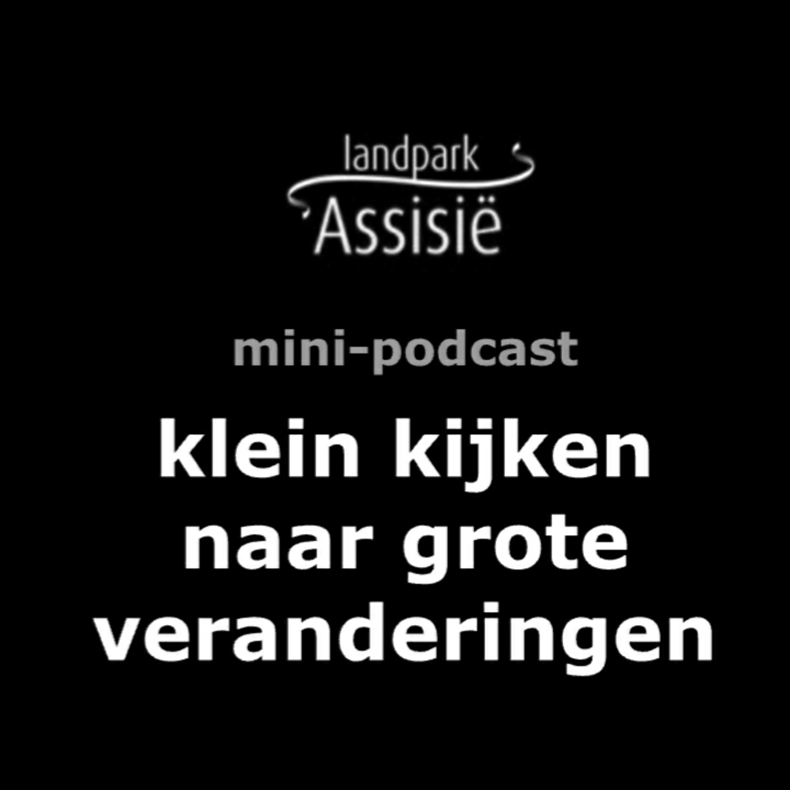 7. Klein kijken naar grote veranderingen. Anders leren episode artwork