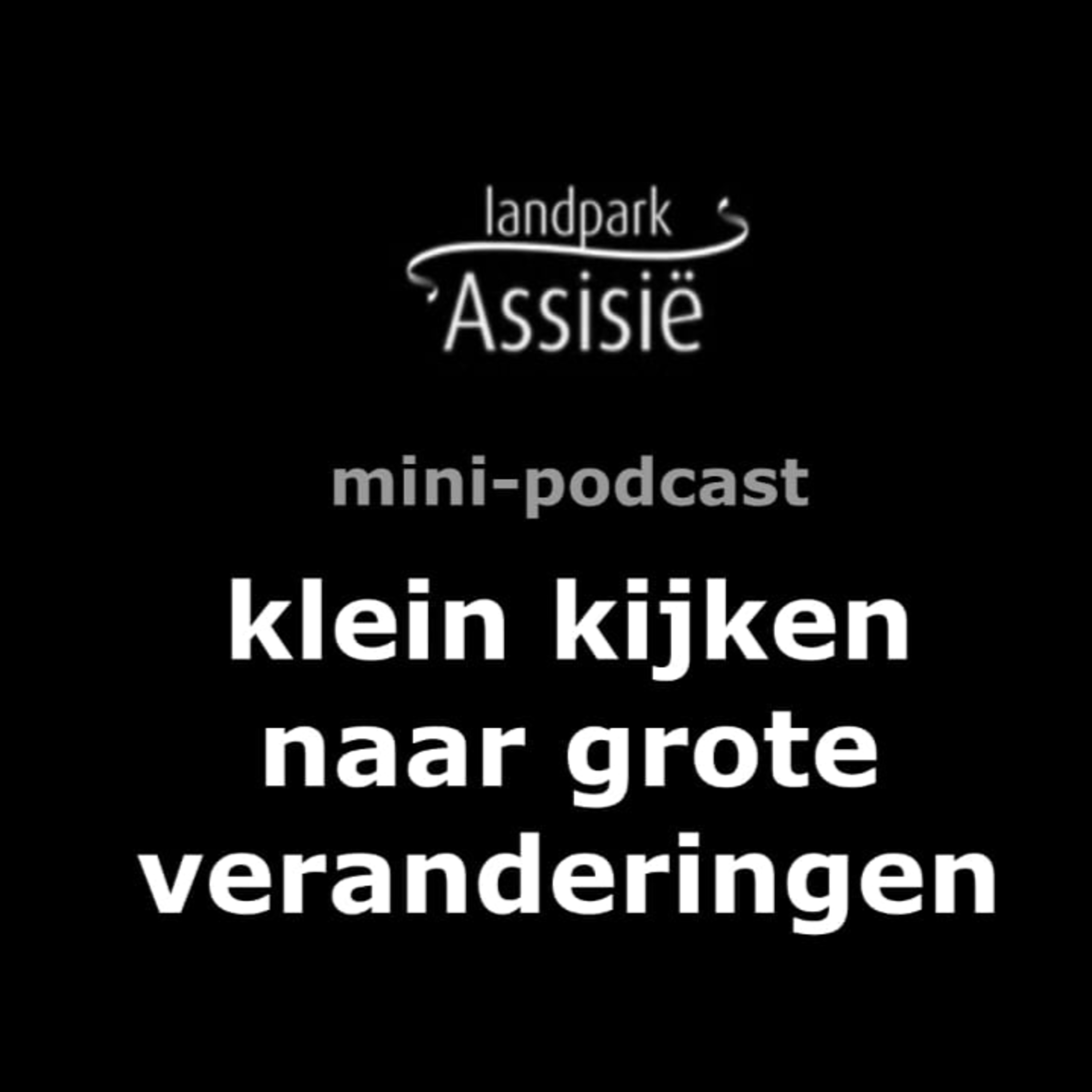 8. Klein kijken naar grote veranderingen. Co-Creatie. episode artwork