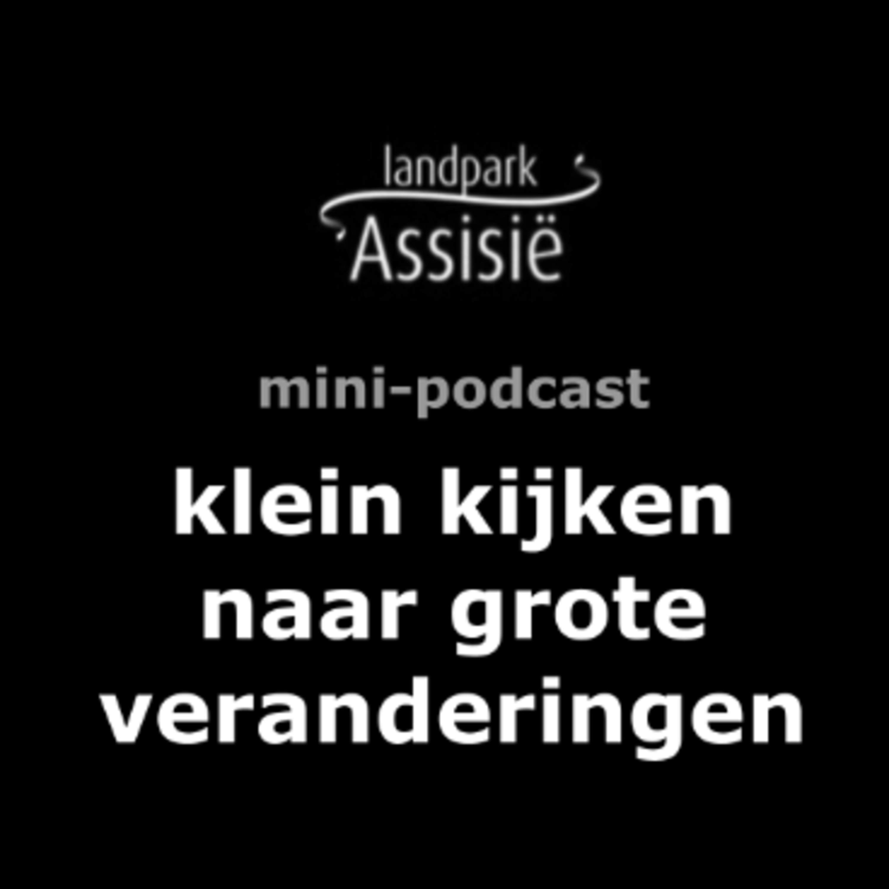 10. Klein kijken naar grote veranderingen. Veranderende Dynamiek episode artwork