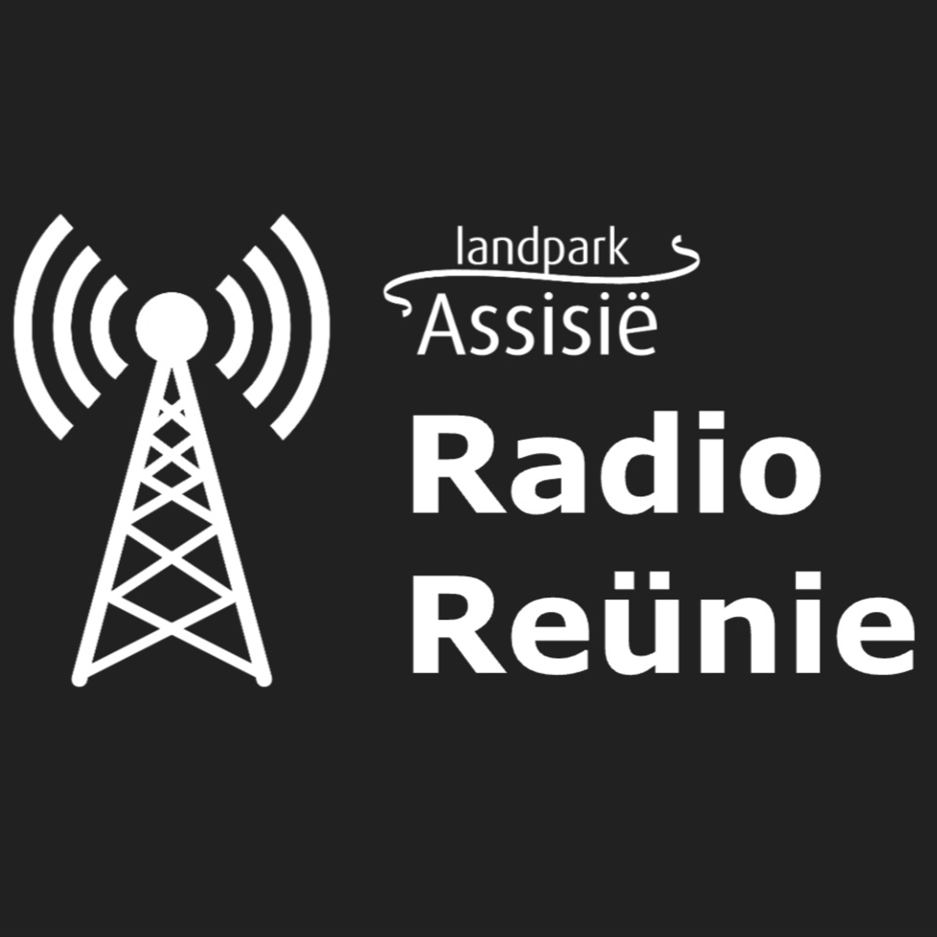 #0. Radio Reünie. Teaser episode artwork