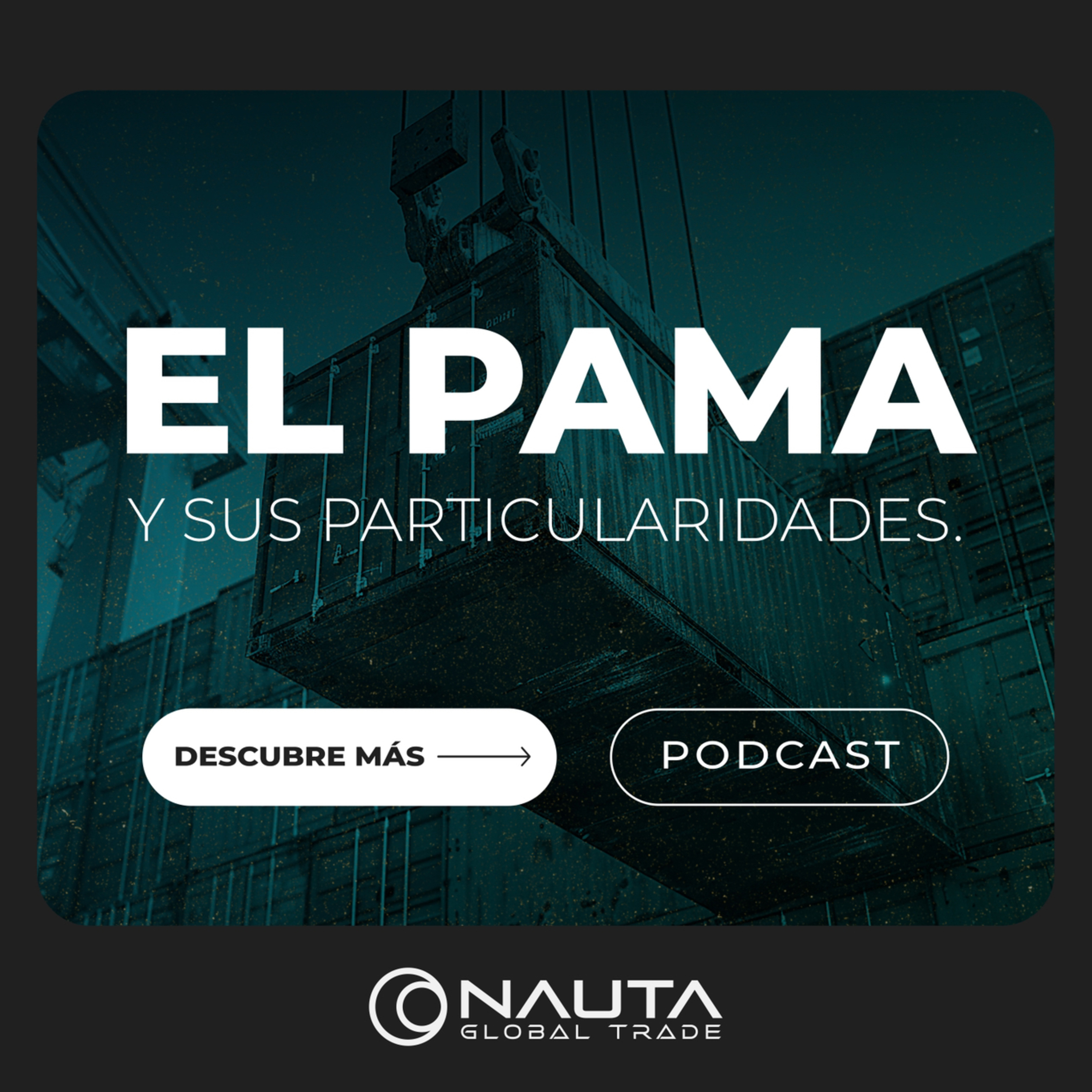 El PAMA y sus particularidades episode artwork