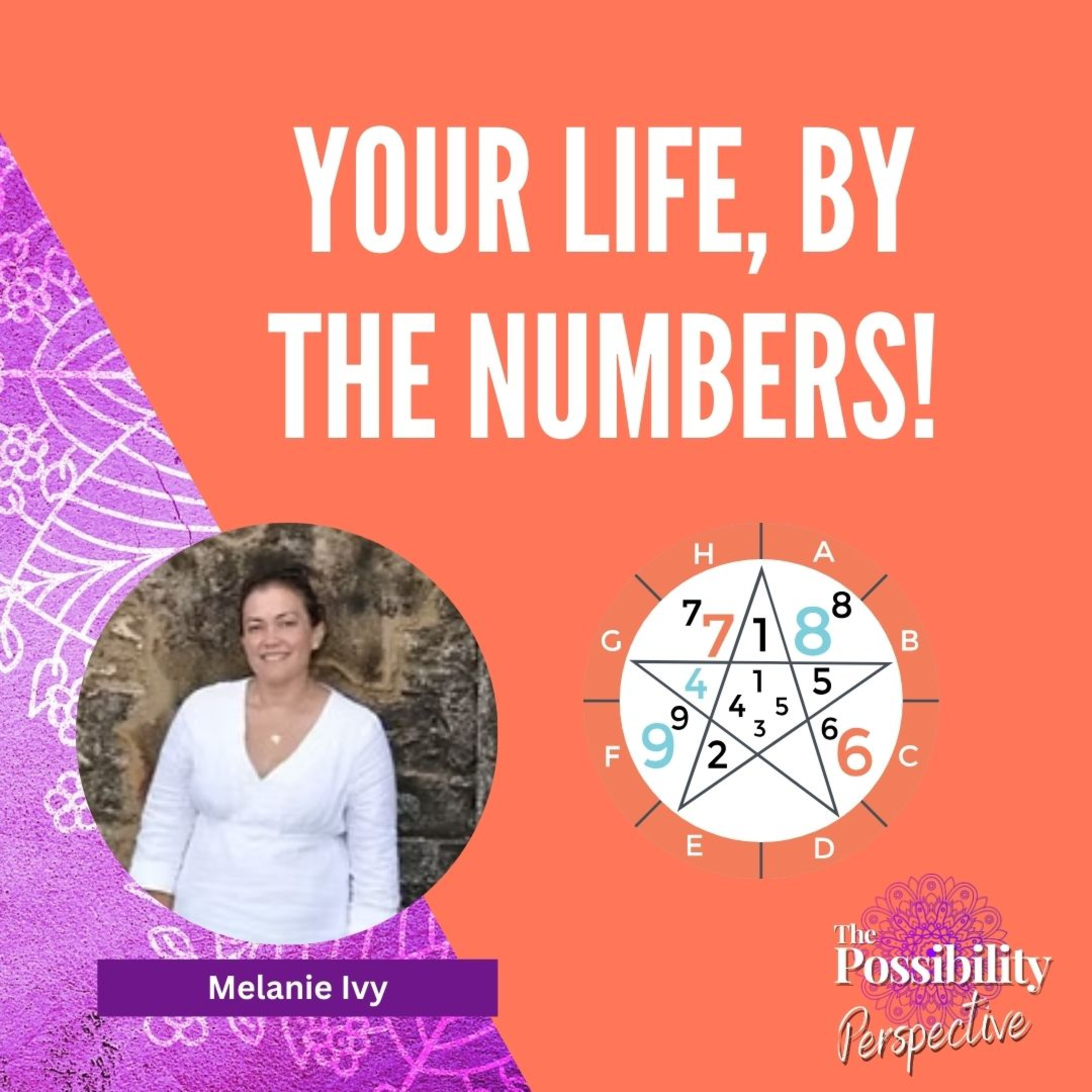 Your Life, By the Numbers! episode artwork