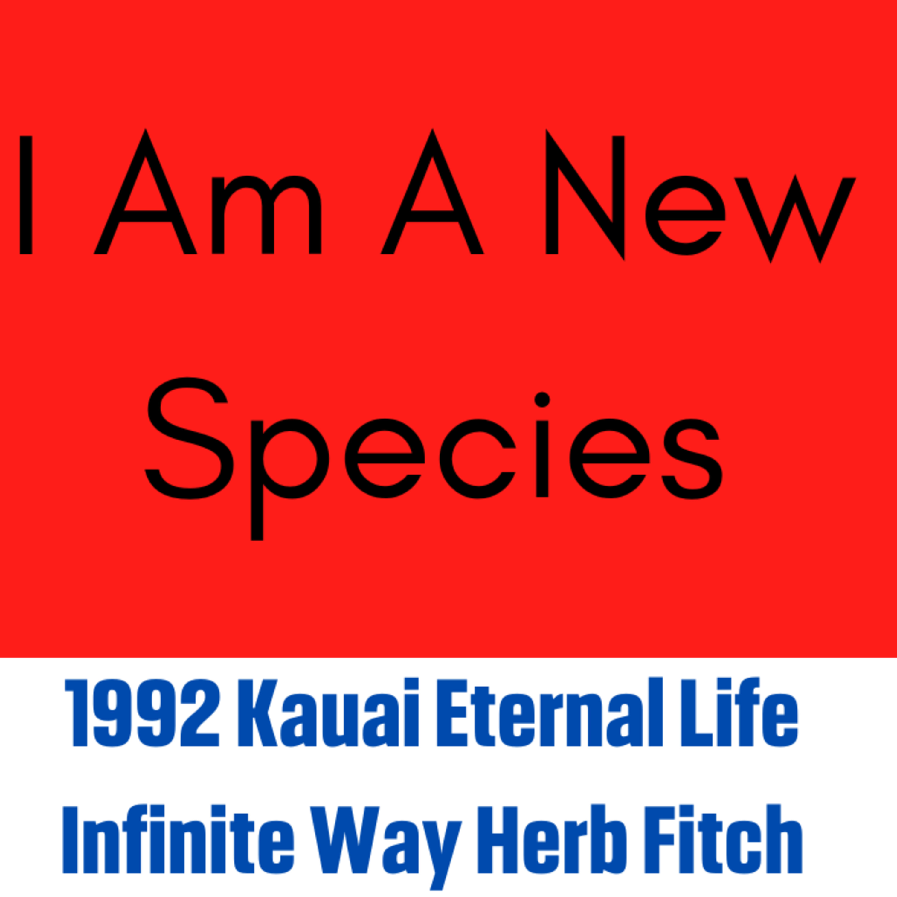 The Ultimate Escape: Breaking Free from Human Identity | Herb Fitch Kauai Eternal Life Spiritual Awakening Seminar 2B
