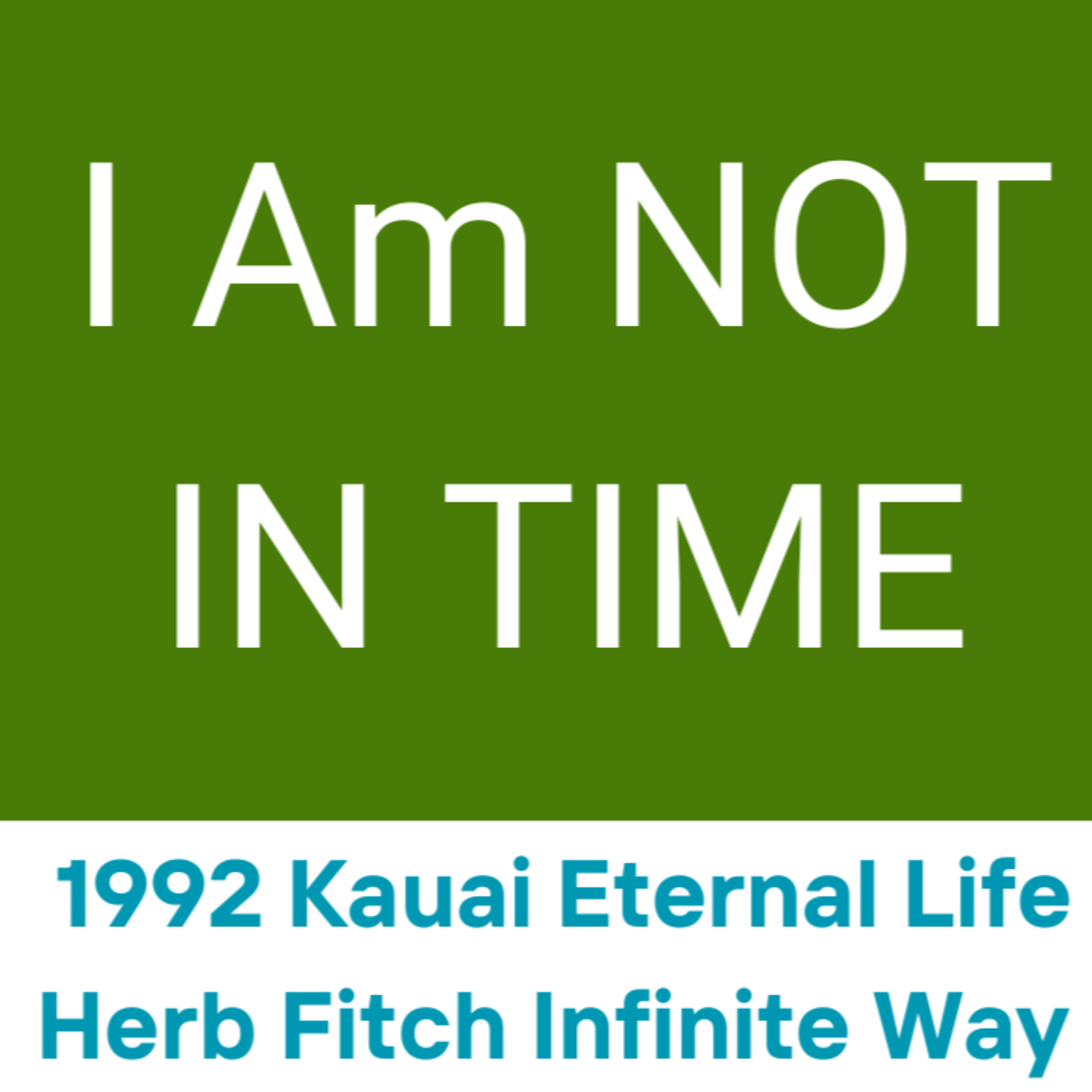 Embracing the Present Moment: Herb Fitch's Guide to Being Out of Time | Herb Fitch Kauai Eternal Life Spiritual Awakening Seminar 6B