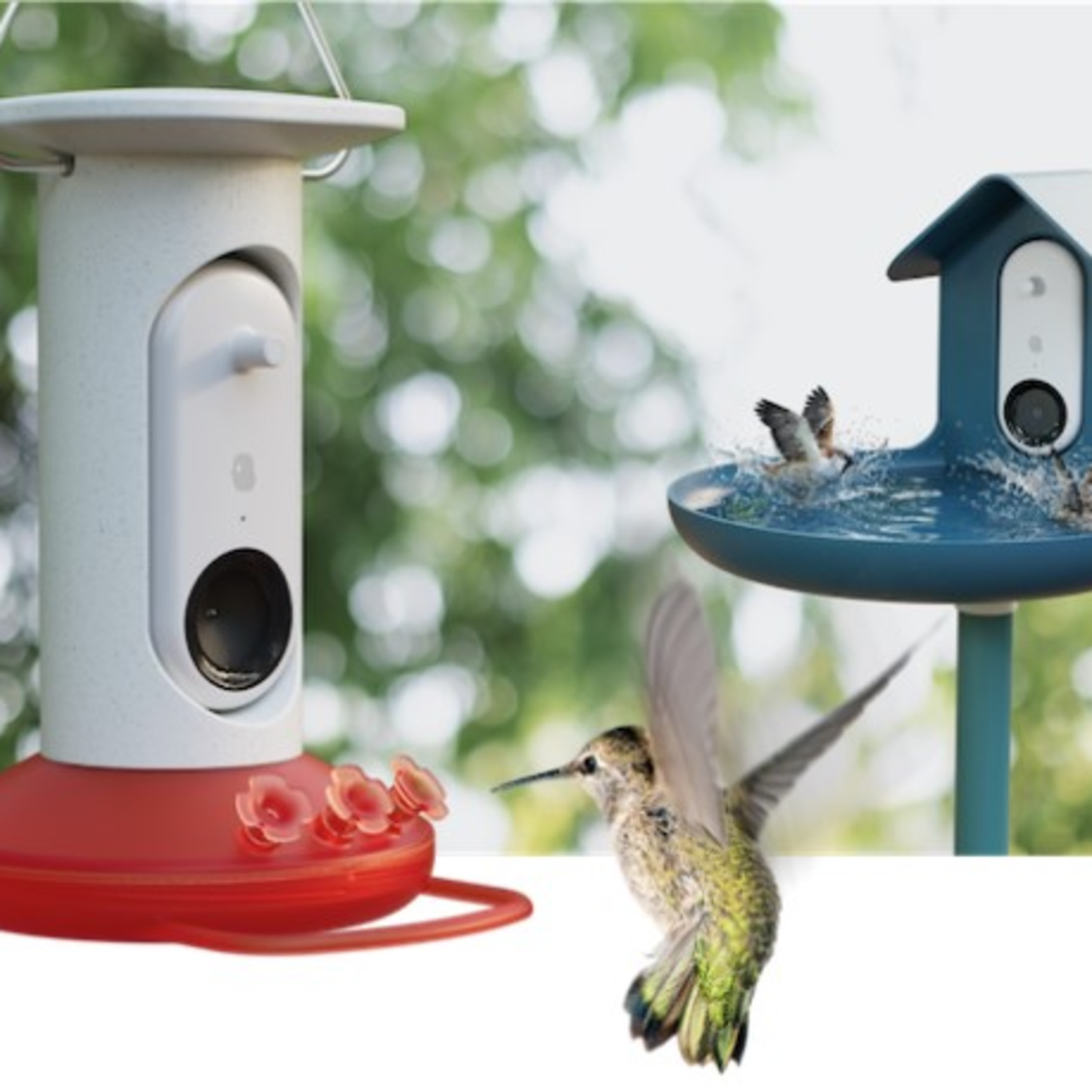 Techstination Interview Bird Buddy flies on Kickstarter for Smart