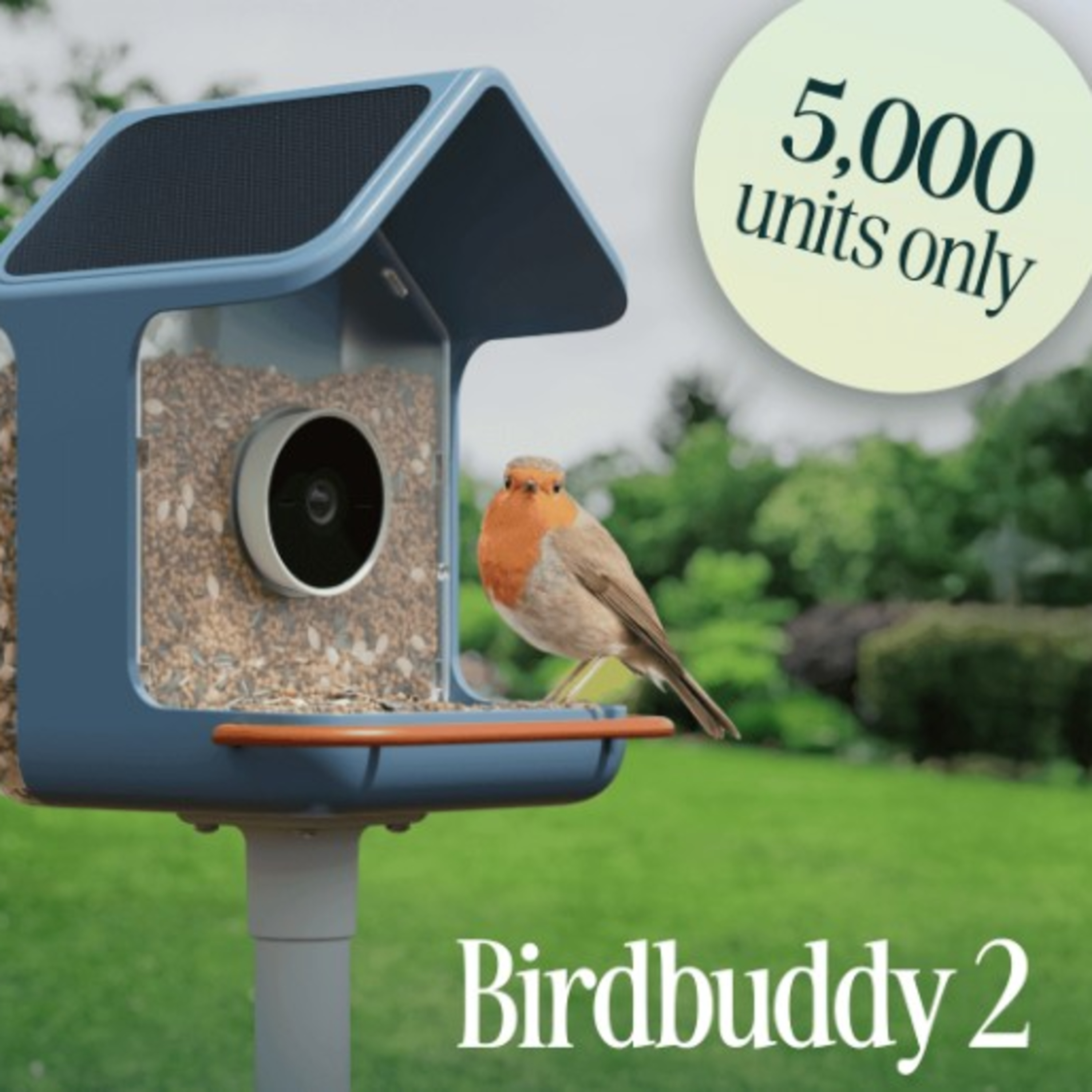Techstination interview: What will be new in Bird Buddy 2 episode artwork