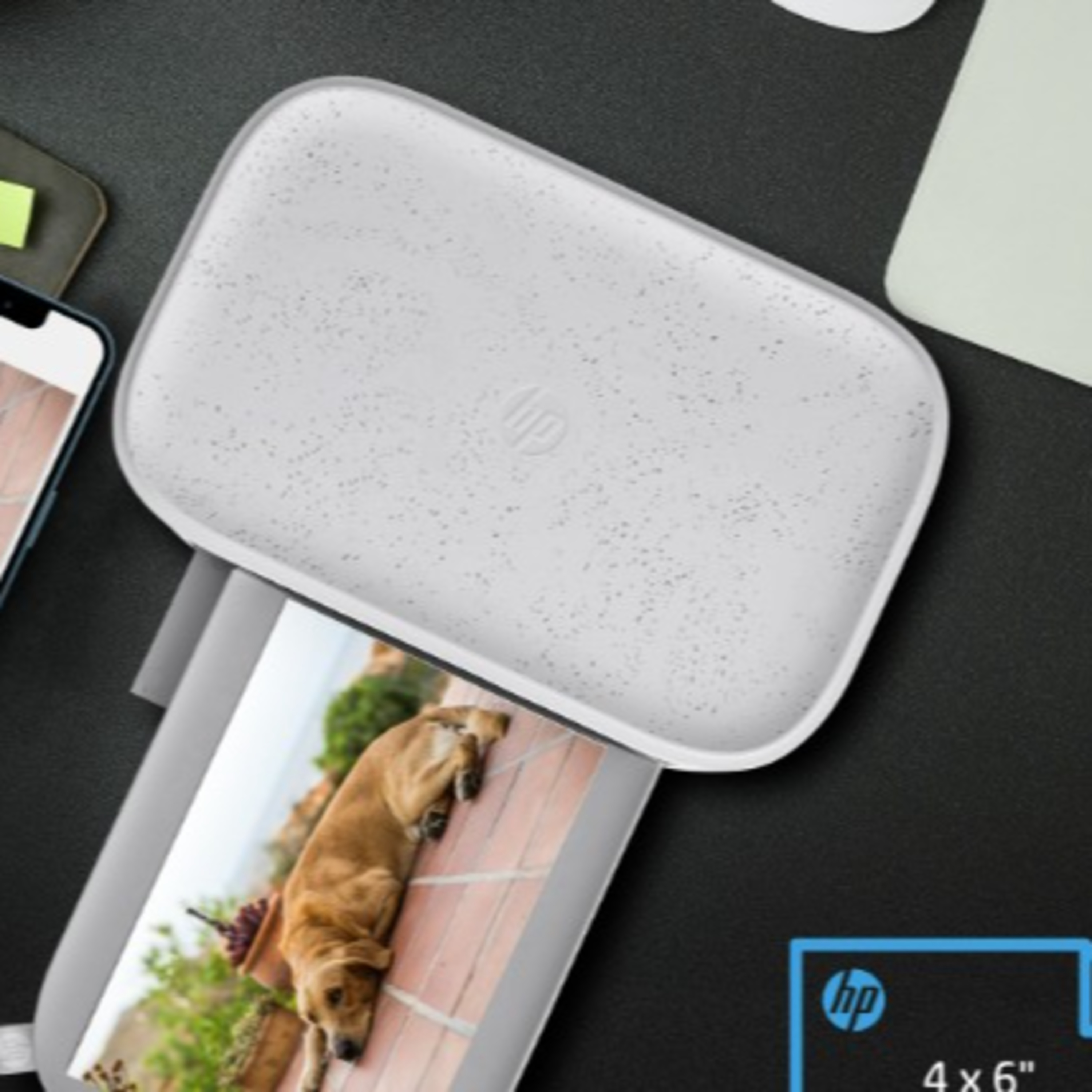 Techie gifts ideas- HP Sprocket Studio and Detiko Smart Bird Feeder episode artwork