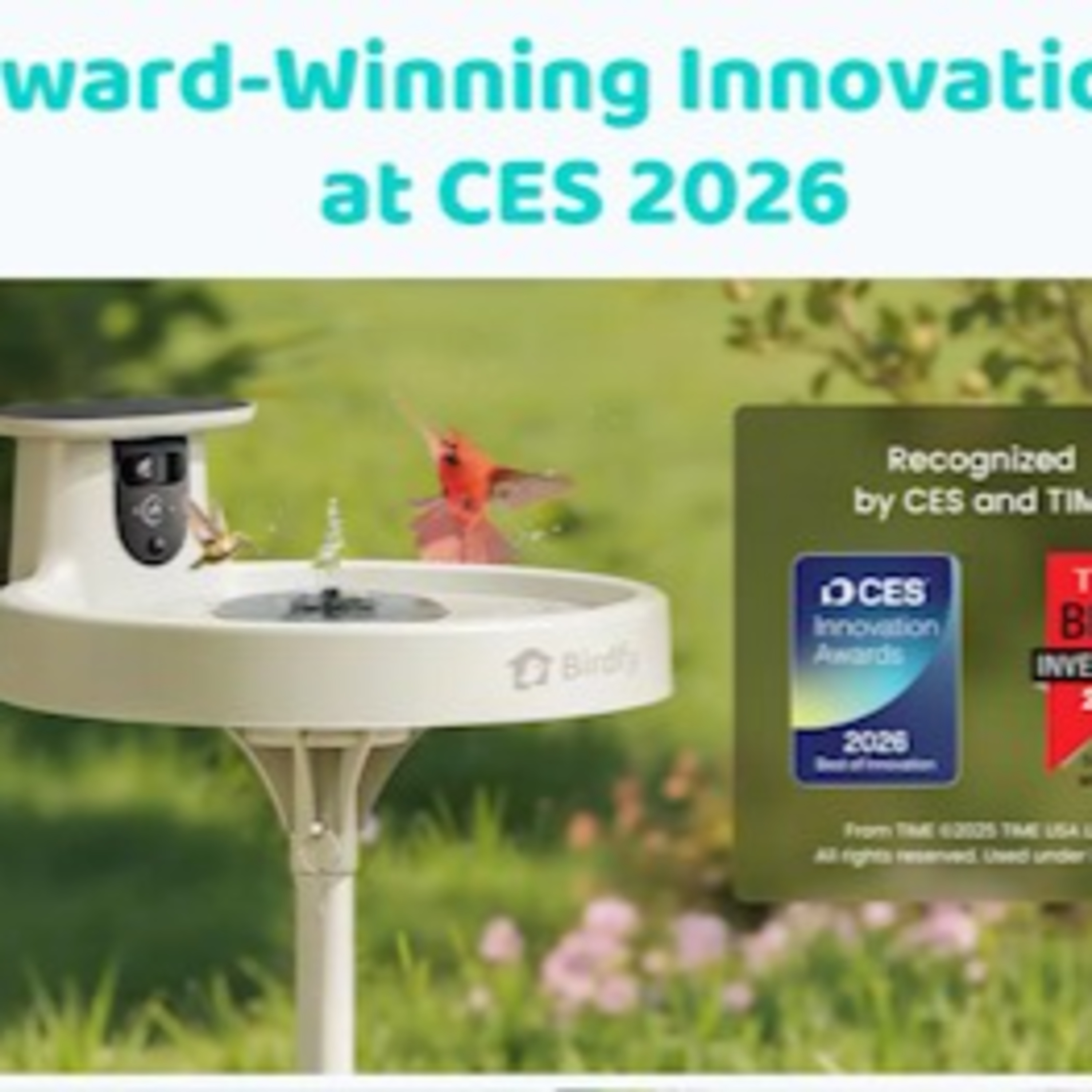 Techstination interview: Netvue Birdfy bringing more award winning innovation to smart bird watching episode artwork