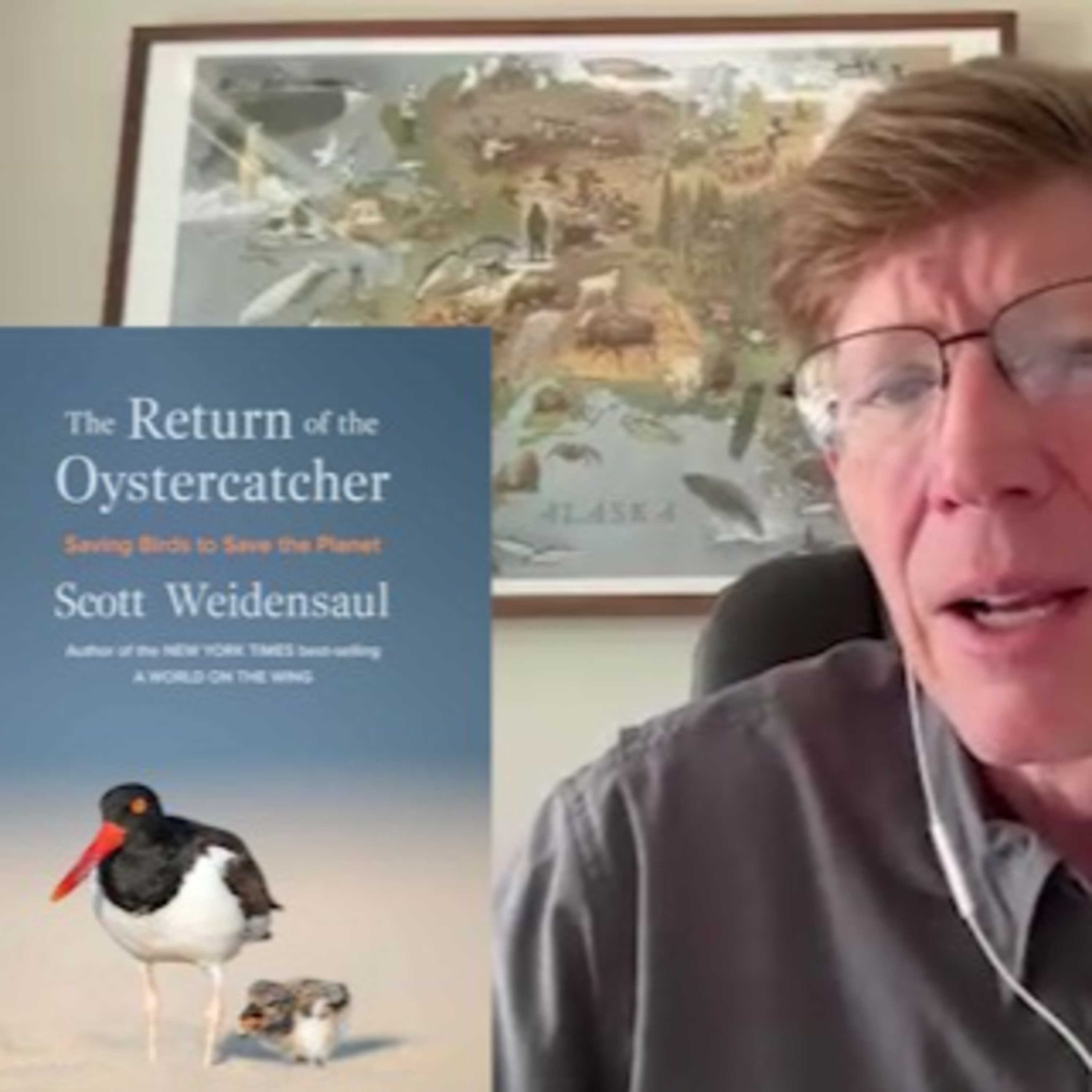 Techstination interview: The Return of the Oyster Catcher-Saving Birds to Save the Planet episode artwork